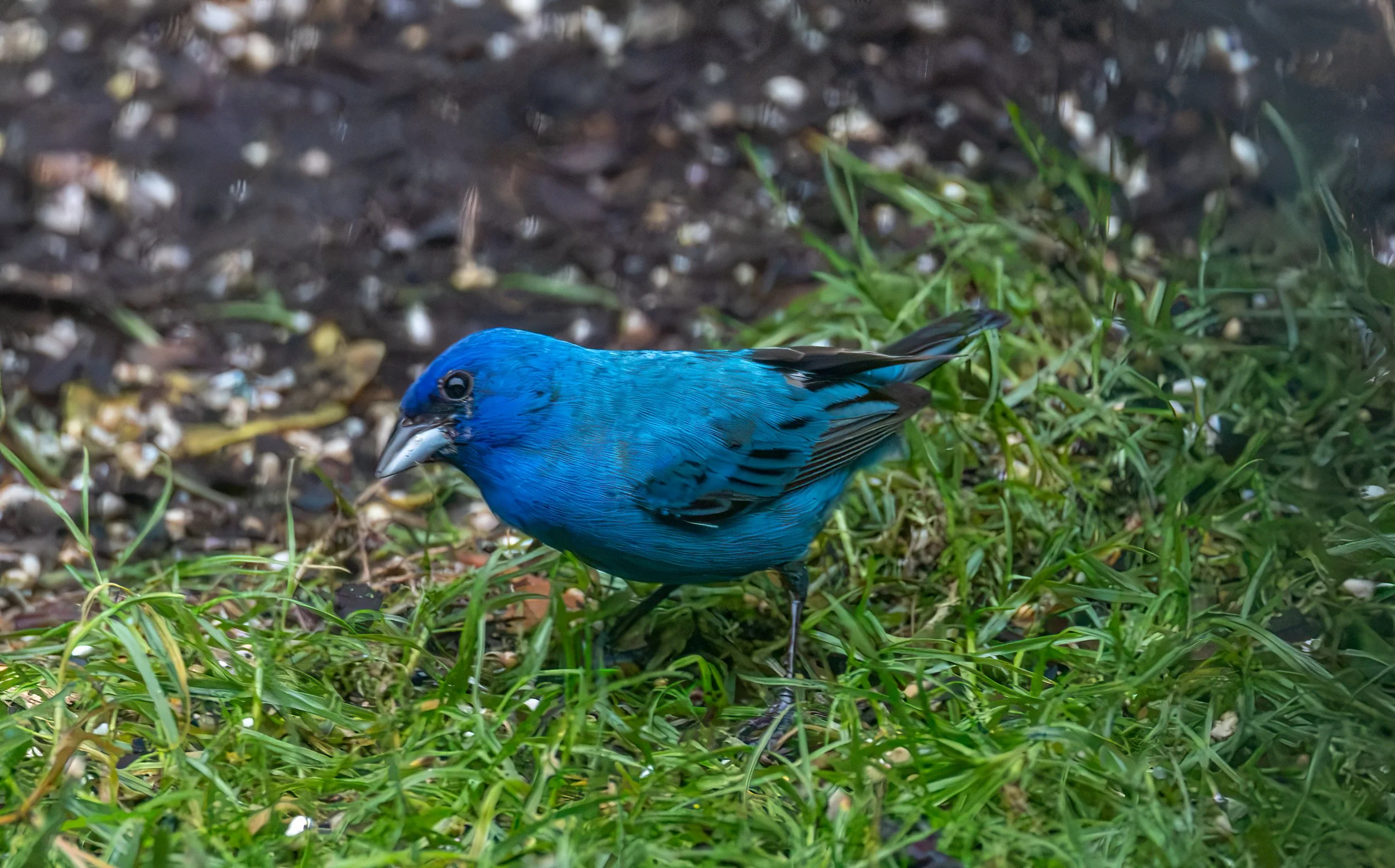 6H5A3449-Edit.jpg