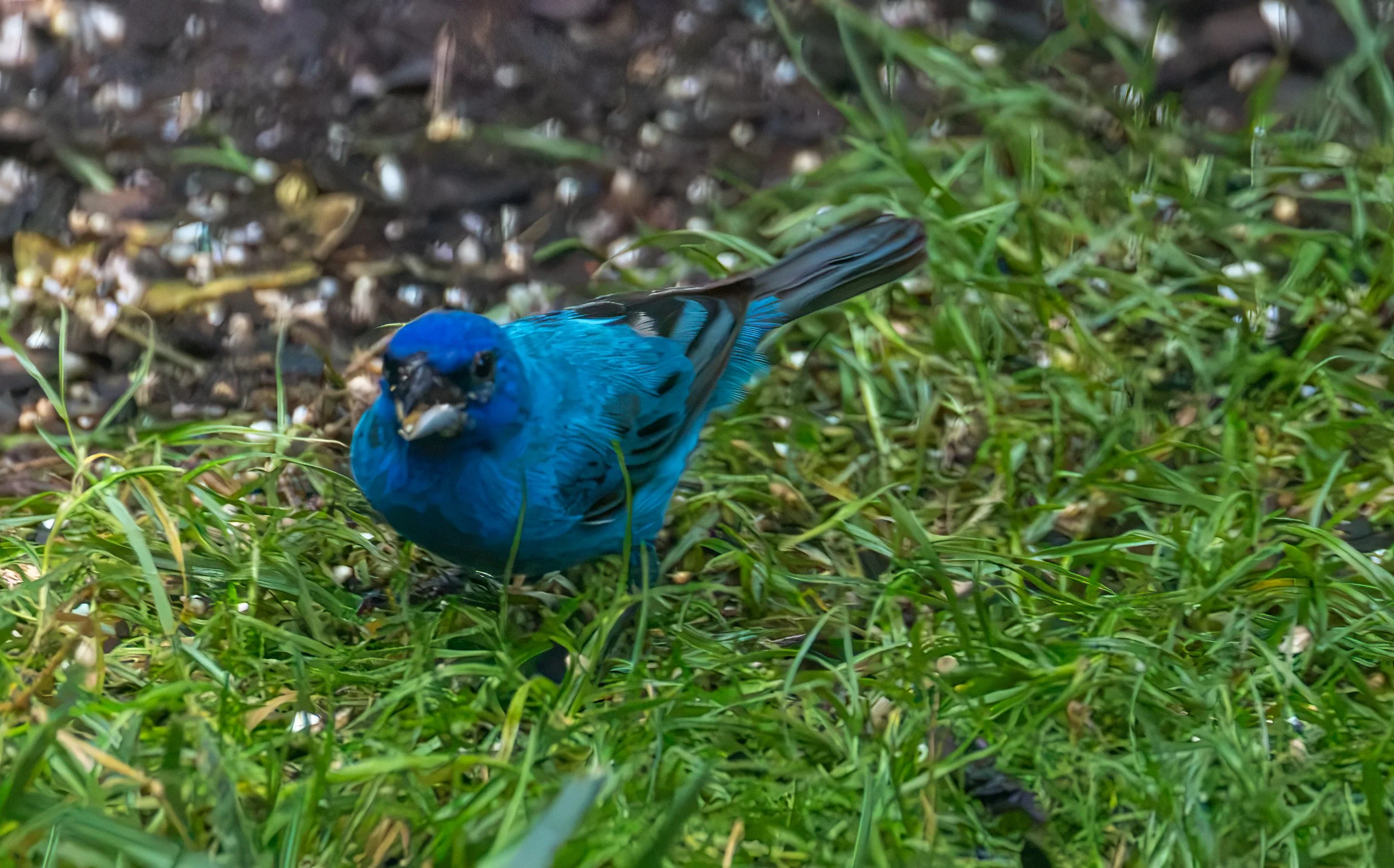 6H5A3456-Edit.jpg