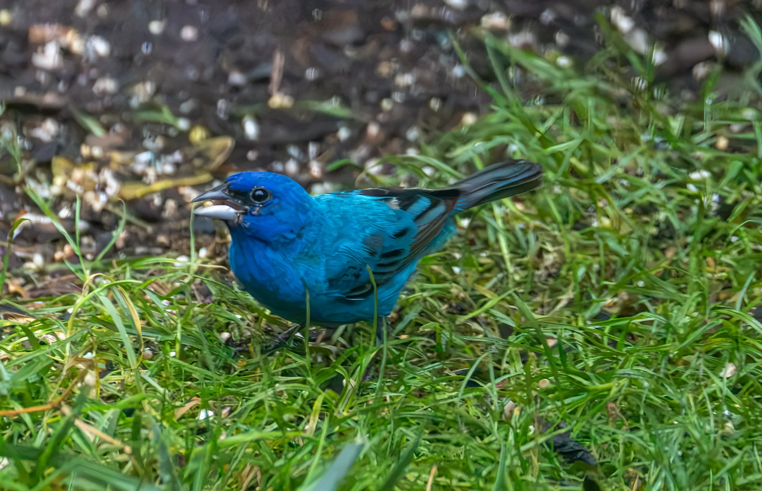 6H5A3458-Edit.jpg