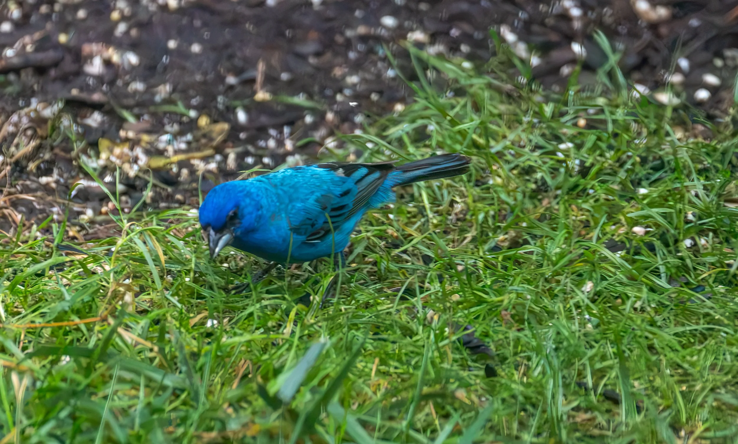 6H5A3465-Edit.jpg