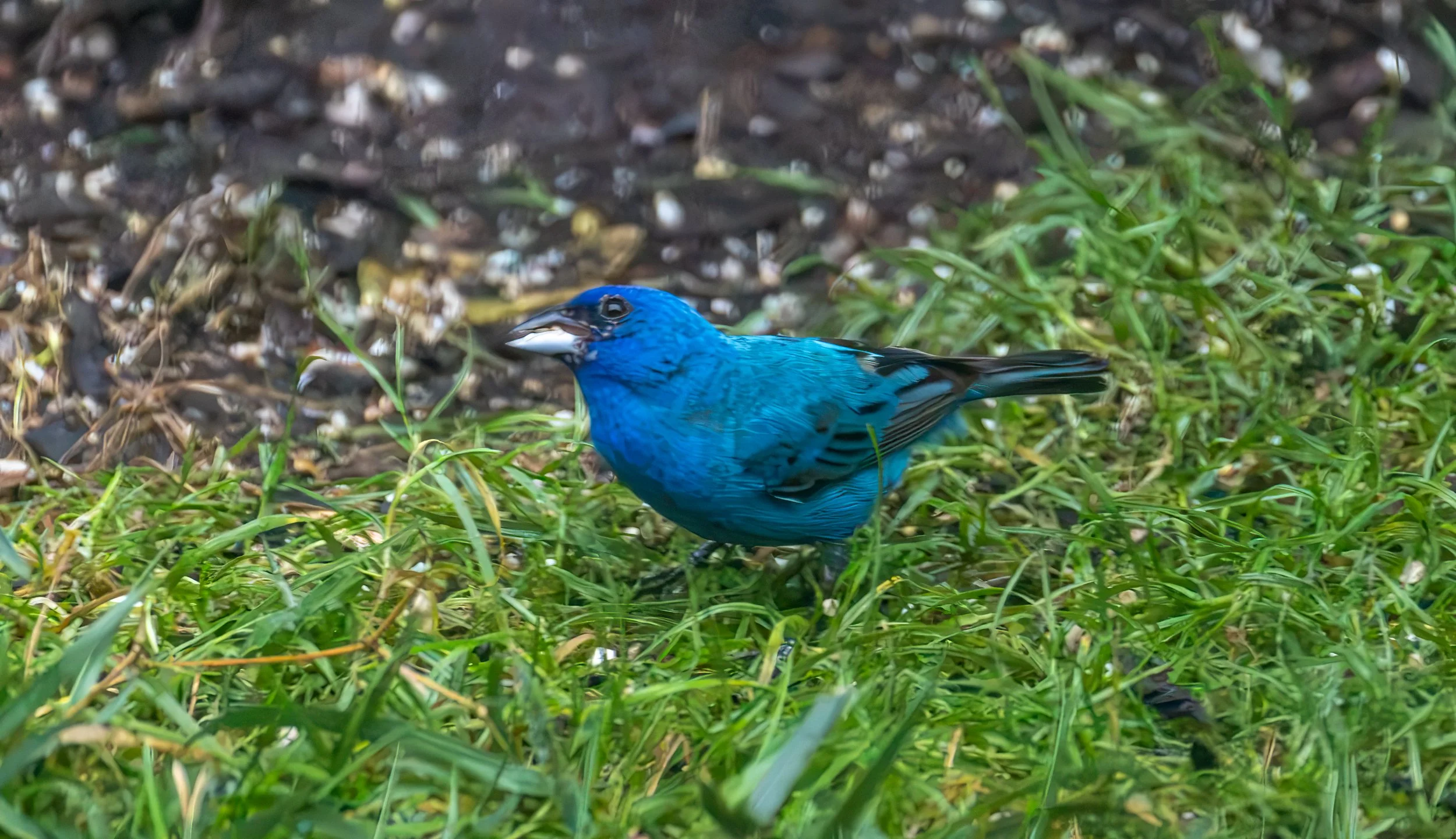 6H5A3470-Edit.jpg