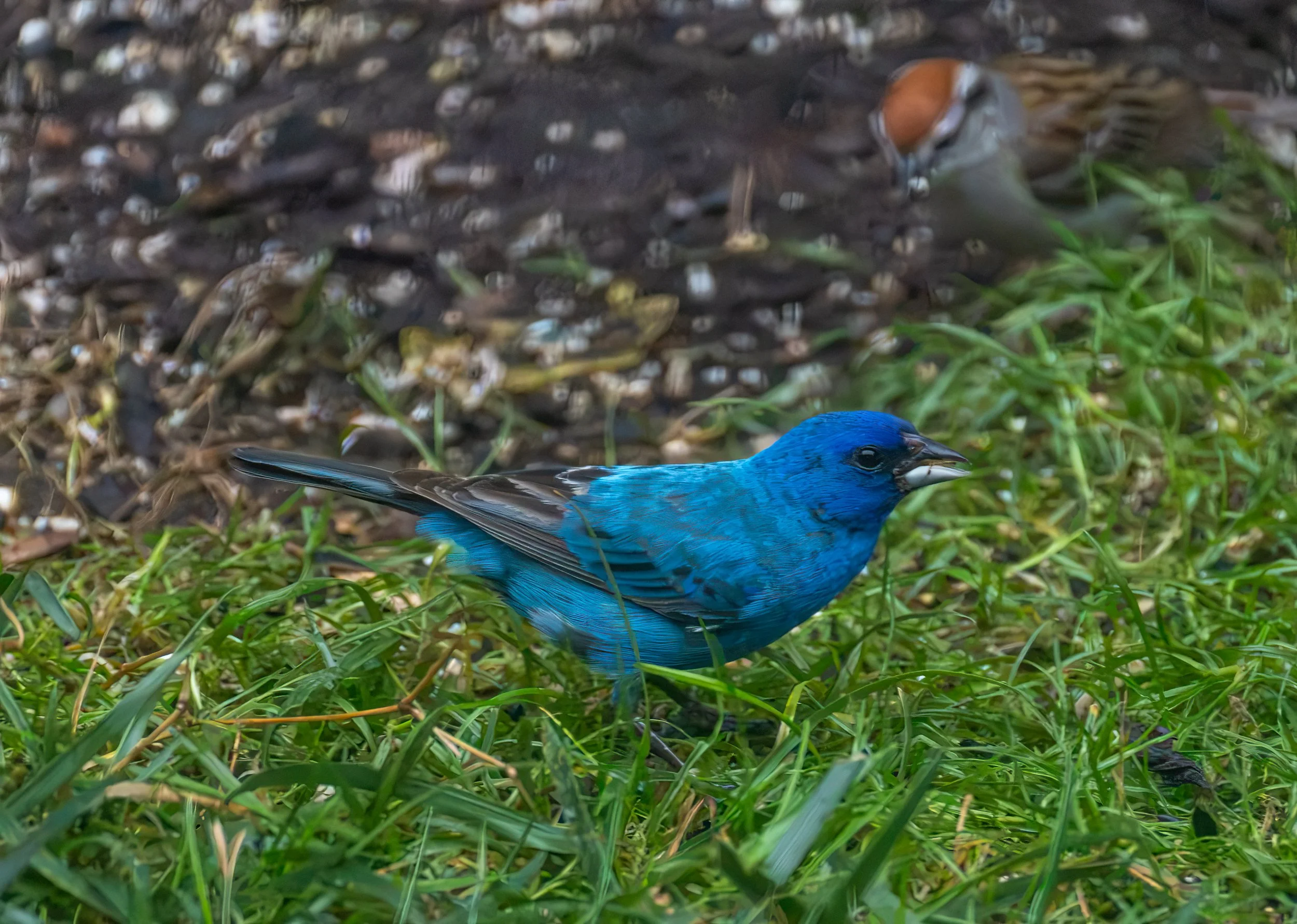 6H5A3474-Edit.jpg