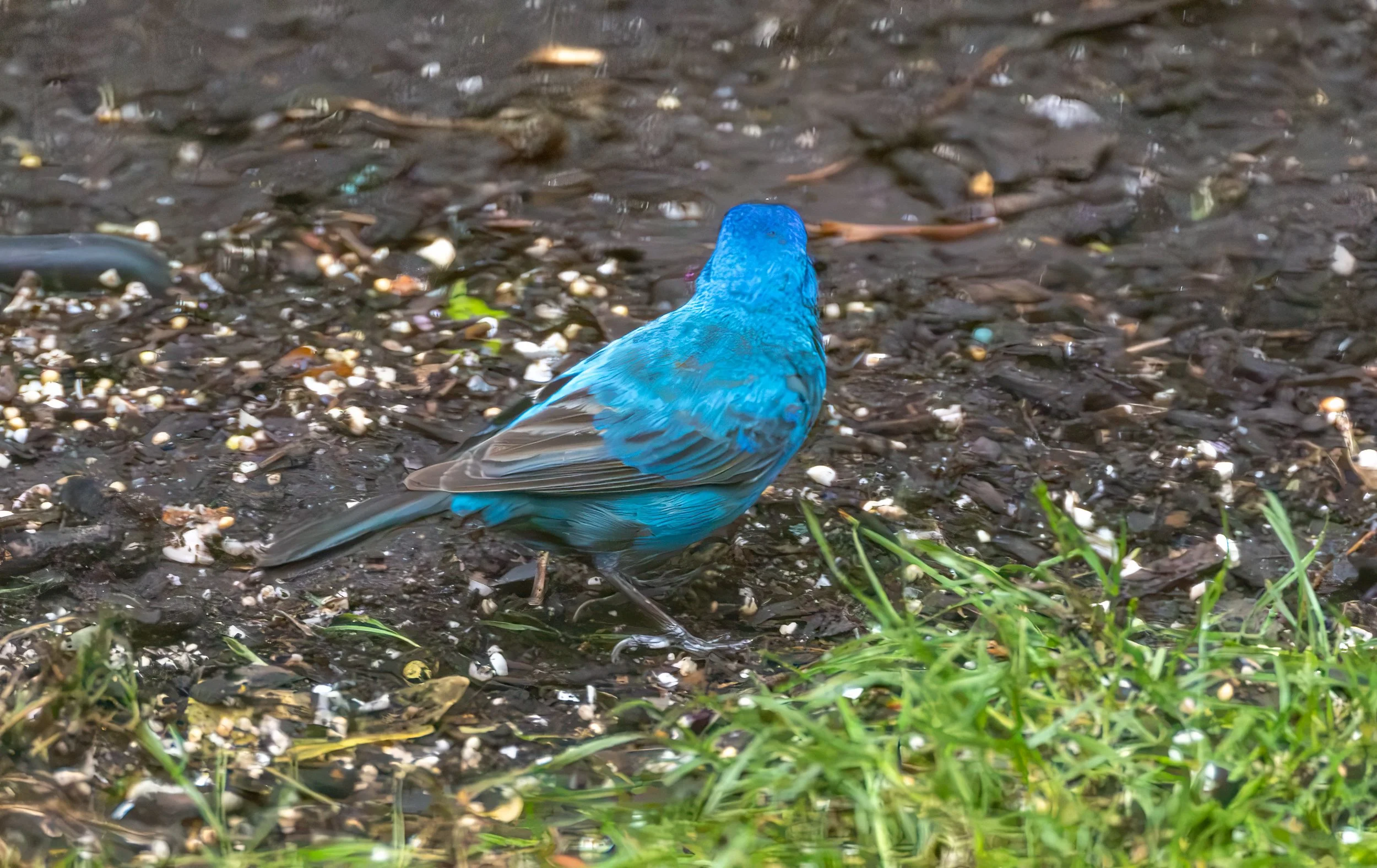 6H5A3516-Edit.jpg