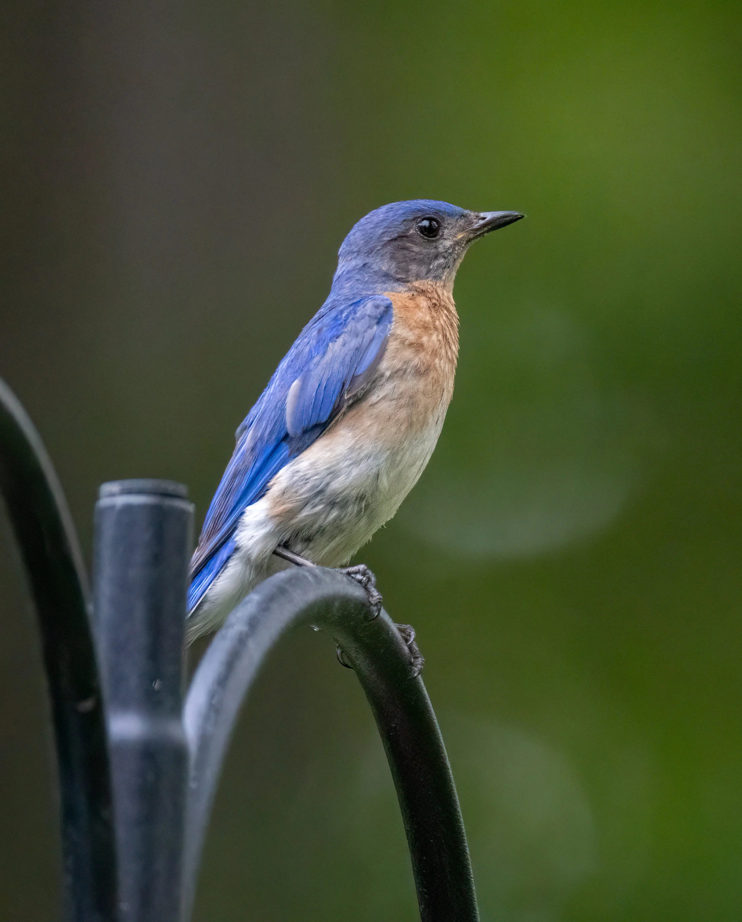 6H5A3780-Edit.jpg