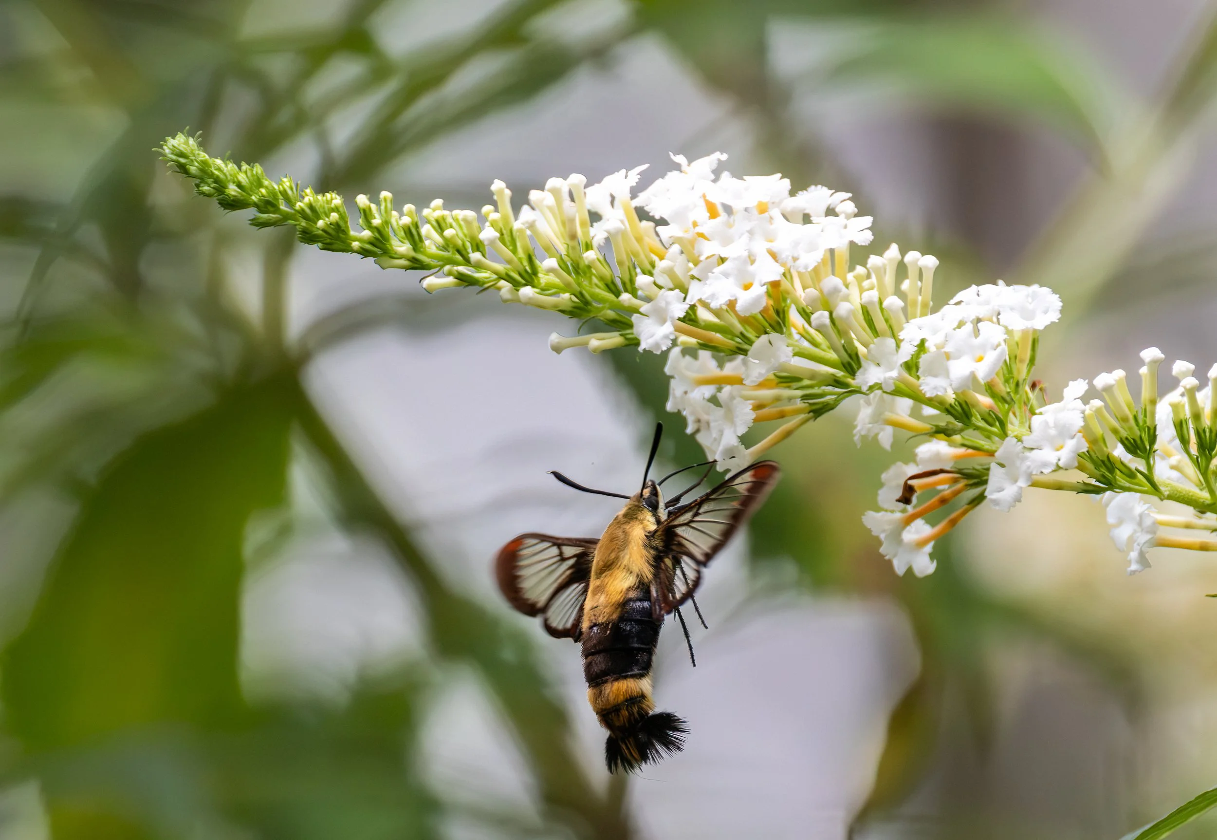 6H5A3797-Edit.jpg