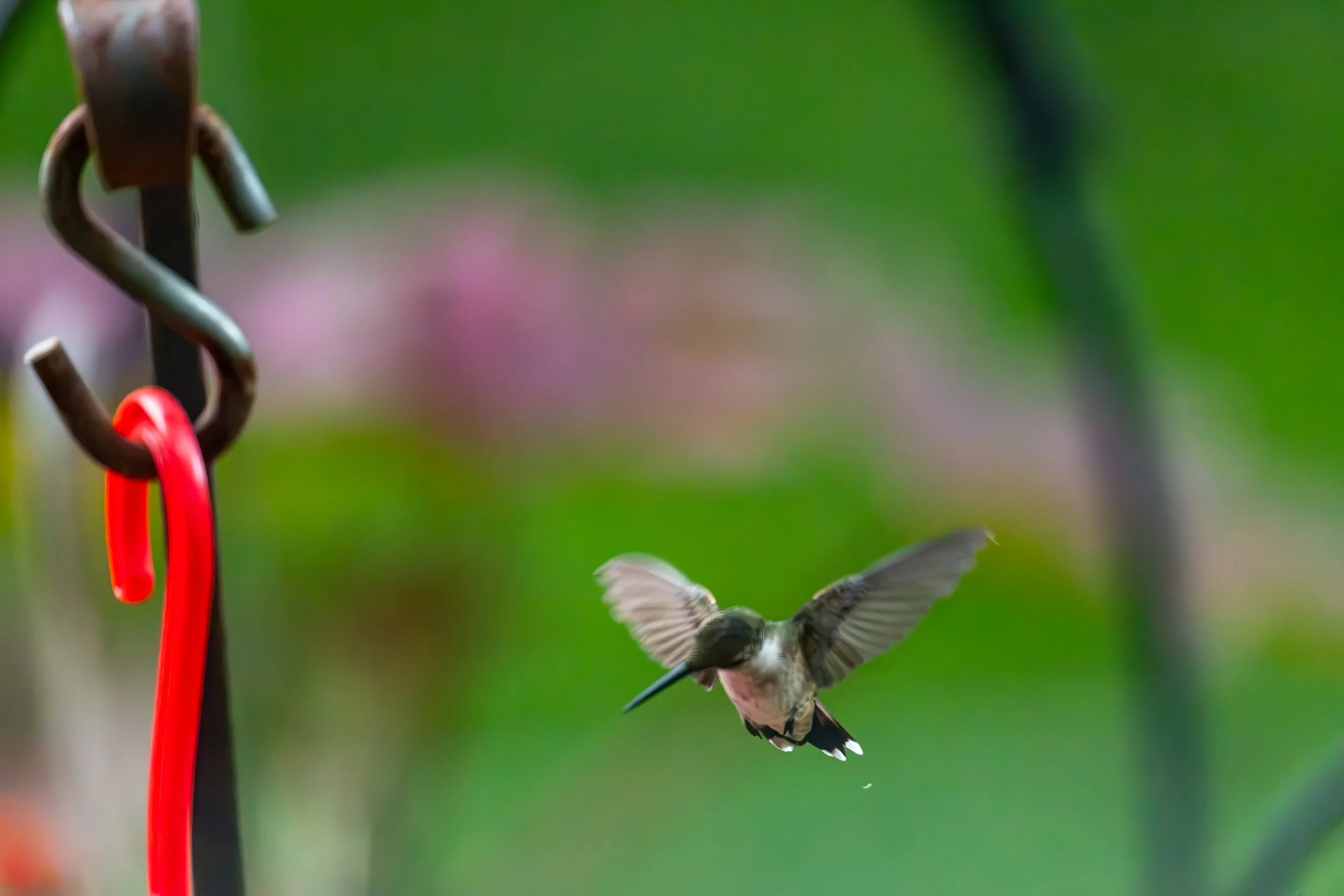 6H5A3834-Edit.jpg