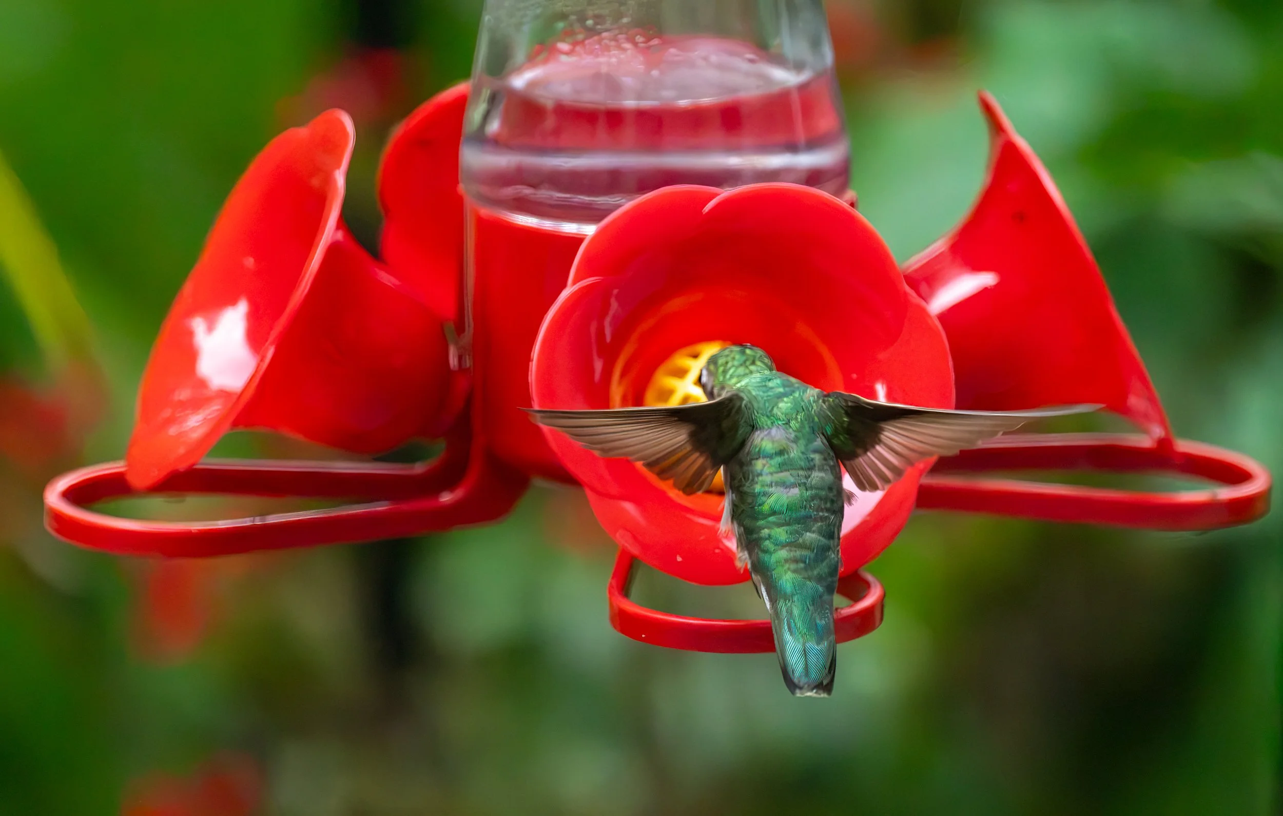 6H5A3851-Edit.jpg