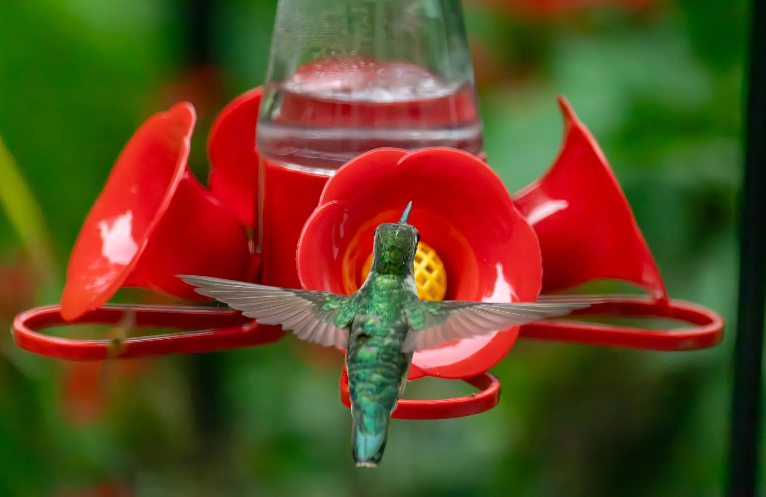 6H5A3853-Edit.jpg