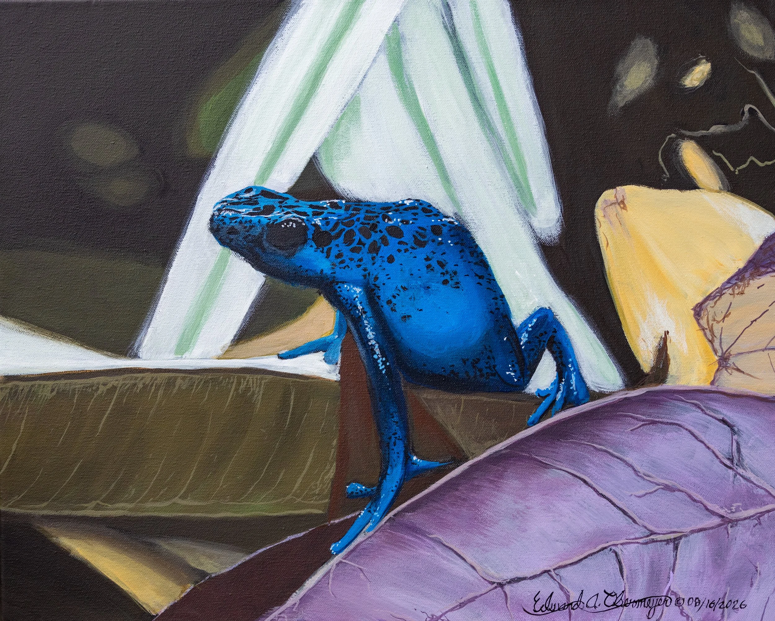 Dendrobates Azureus/The Blue Poison Frog © 08/16/2026
