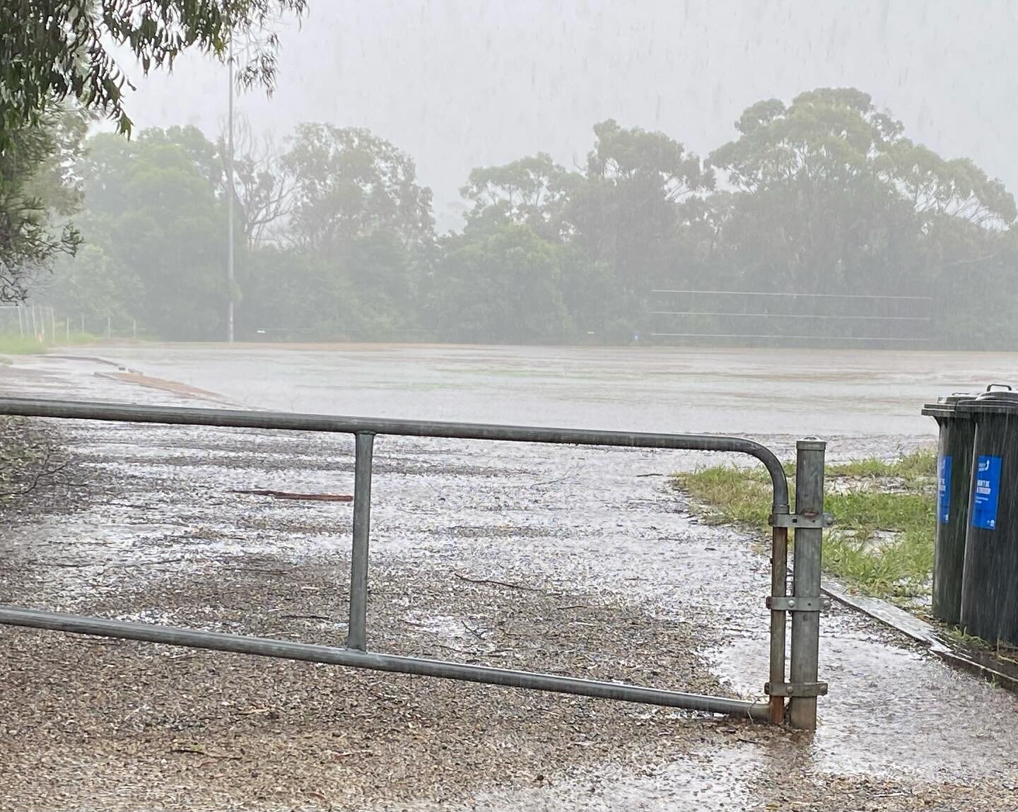 ☔️FRIDAY FLASHBACK - SAMUEL KING OVAL 🌧️

A look back to the last time we experienced a significant wet weather event at the home of Magpies Football during what was a &lsquo;monsoonal&rsquo; 2022 winter season.

Our treasured home ground handles th