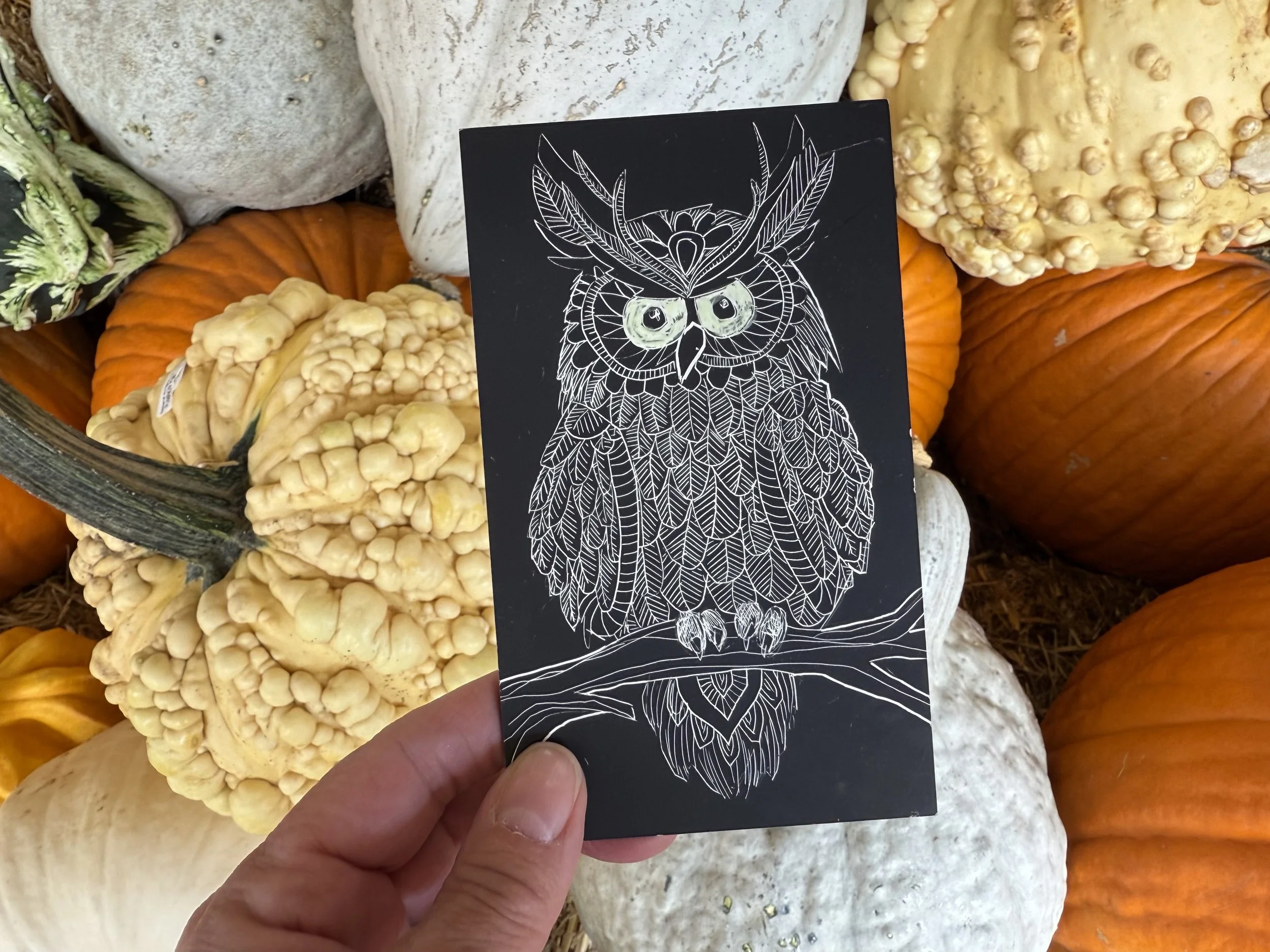 Scratchbord & High Flow