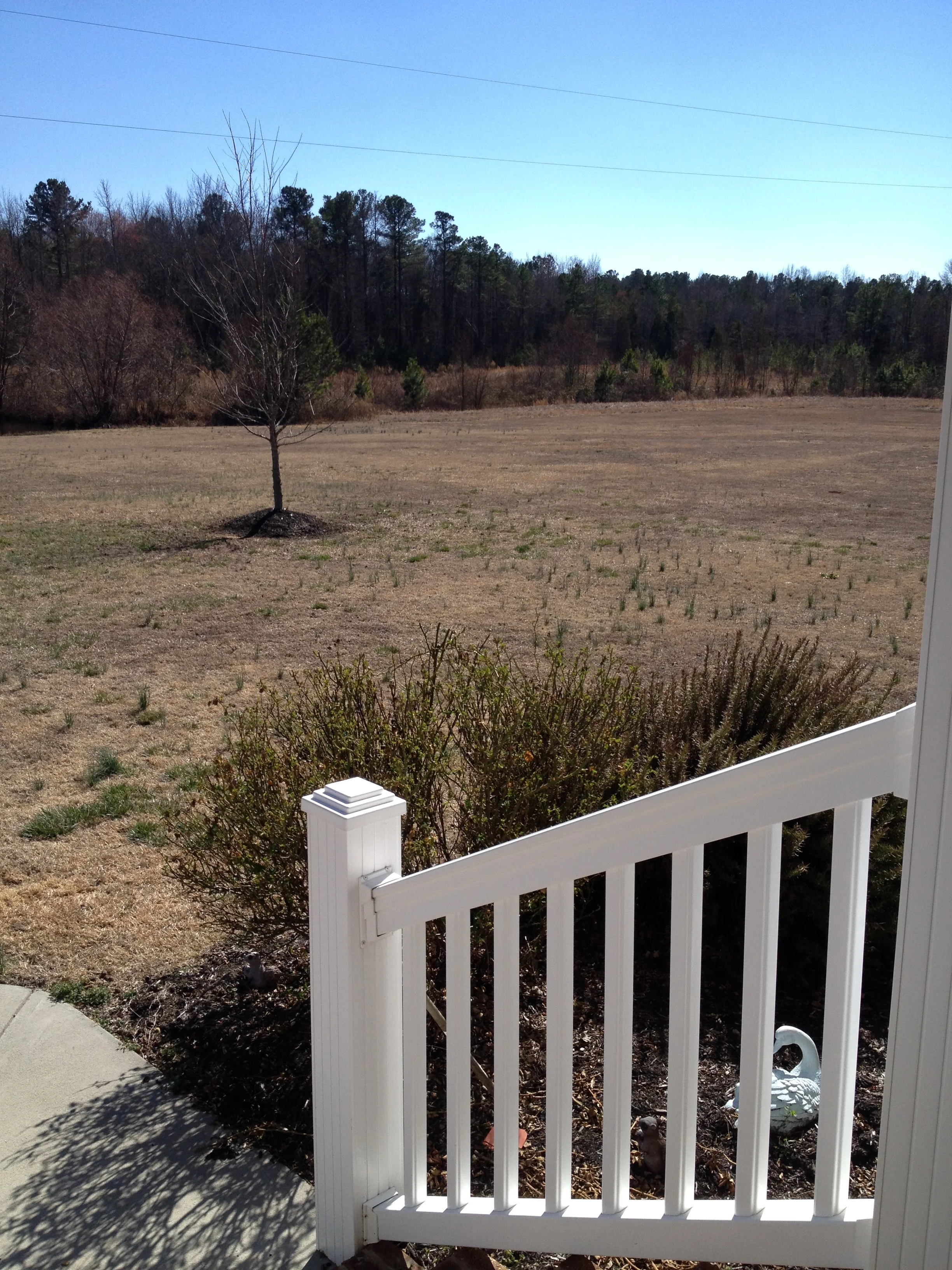 porch view.jpg