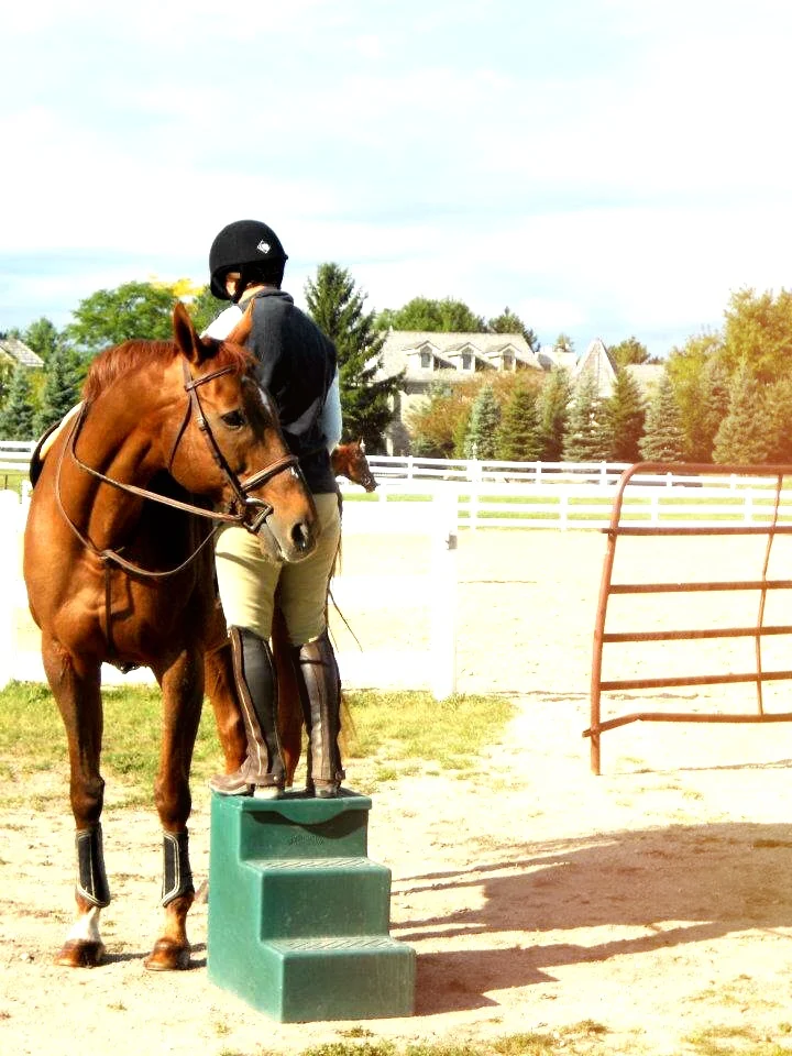 Tia Tharp and Acclaim (aka Alex) in 2012