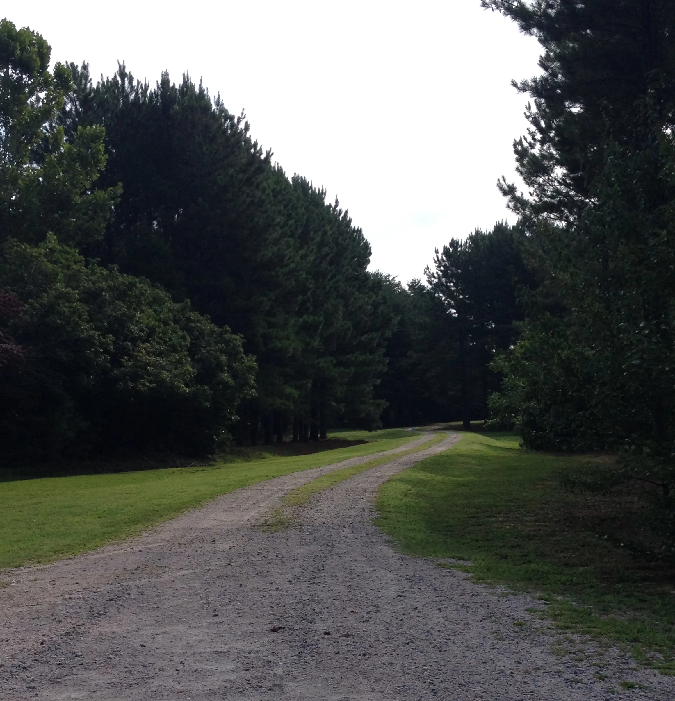 driveway 8.3.14.jpg