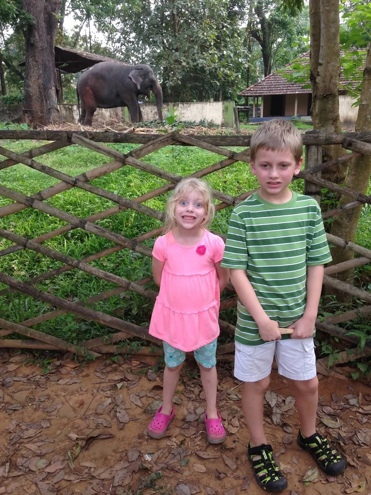 kids at elephanat sanctuary.jpg