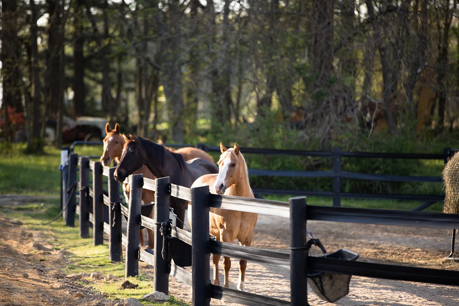 Bright Side Youth Ranch