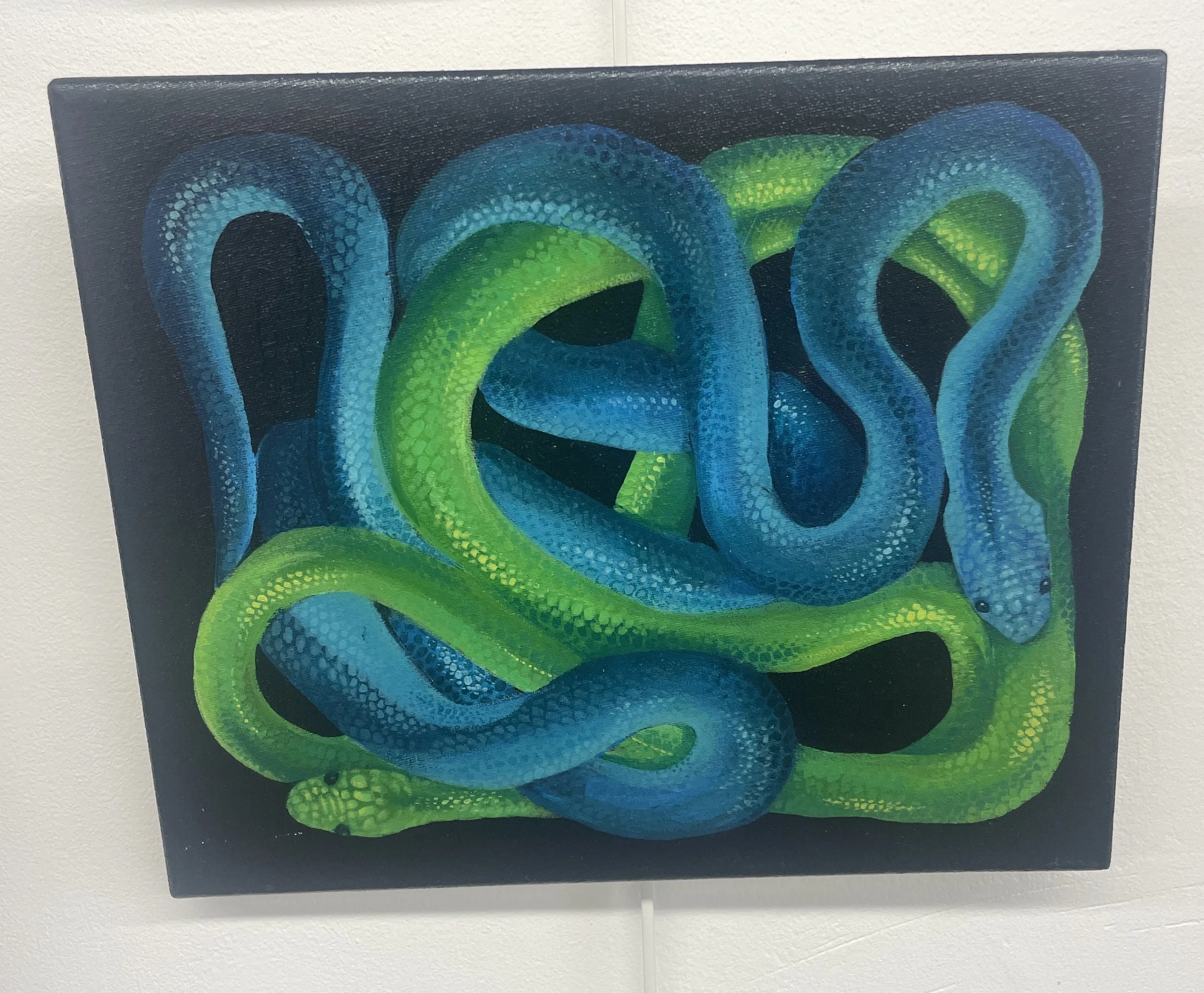 Blue and green snakes