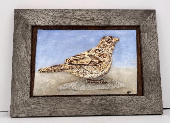 Bird Picture