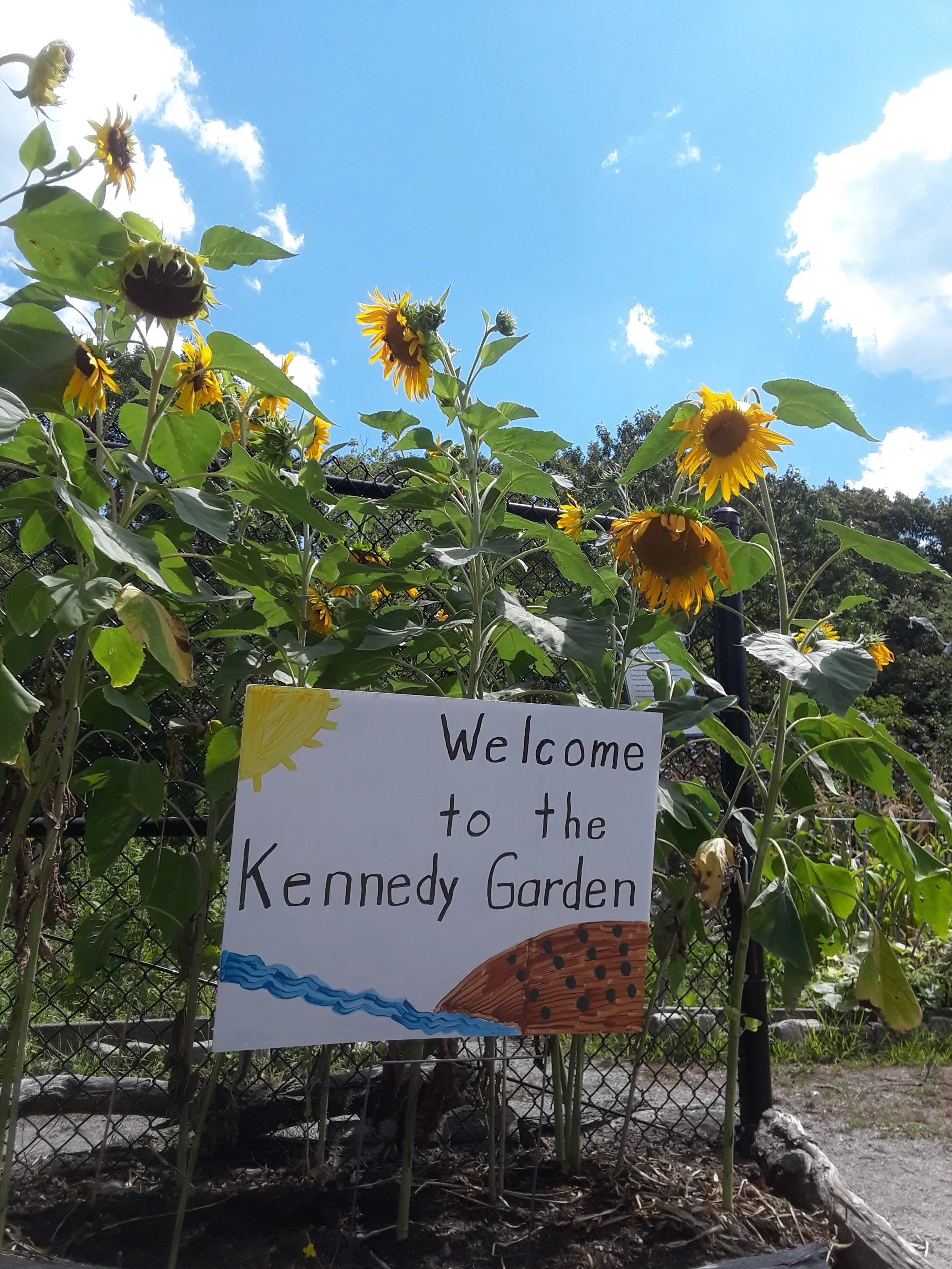 Welcome to Kennedy Garden.jpg