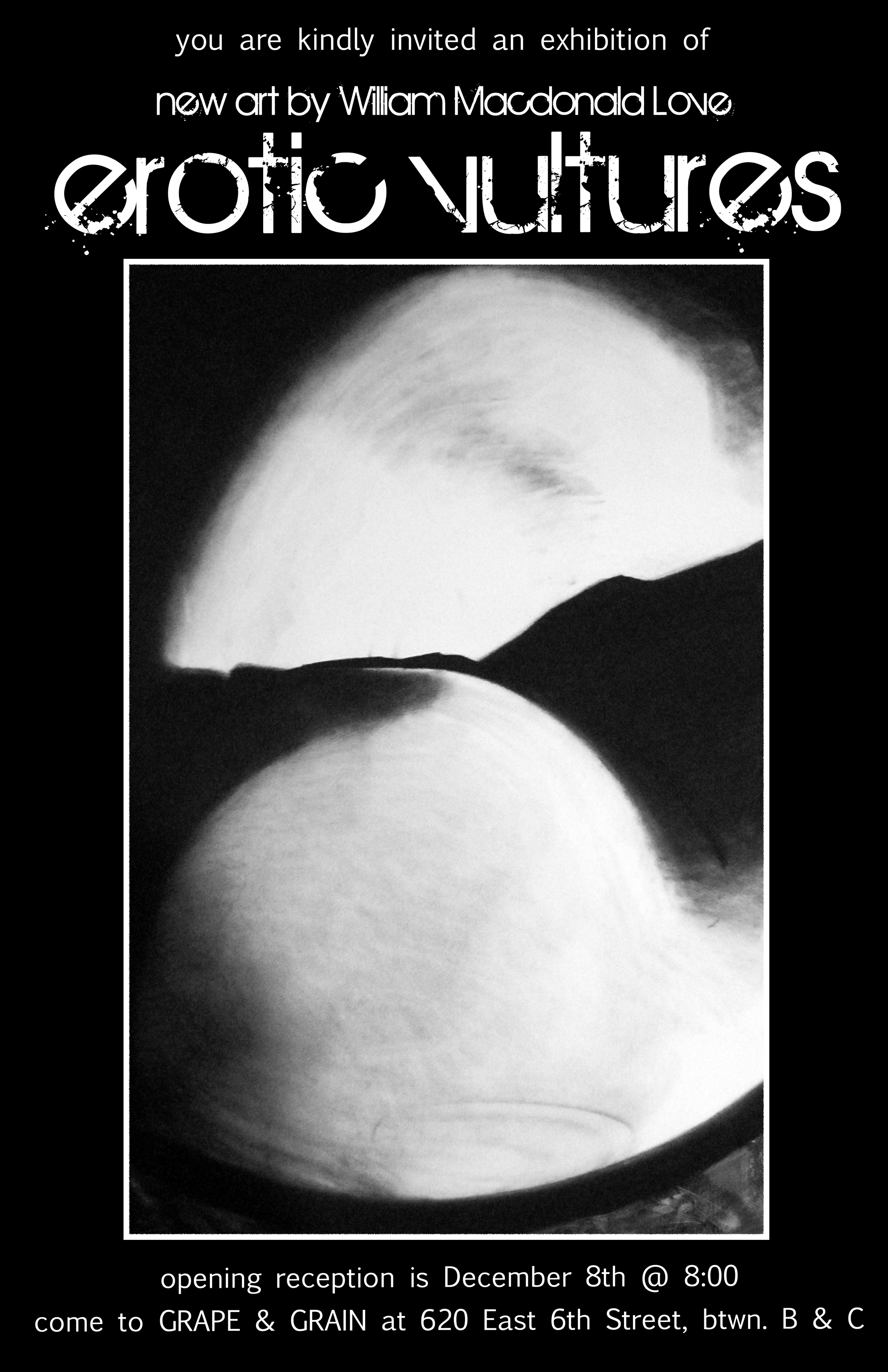 erotic vultures poster1.png