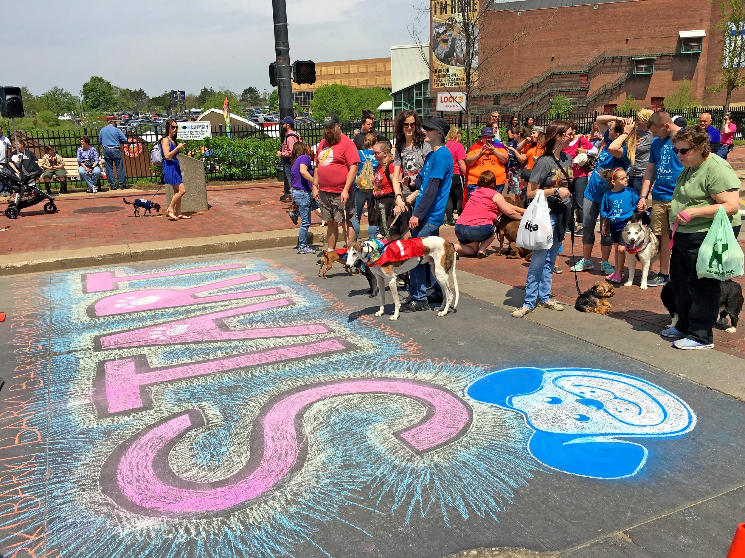 Bark in the Park
