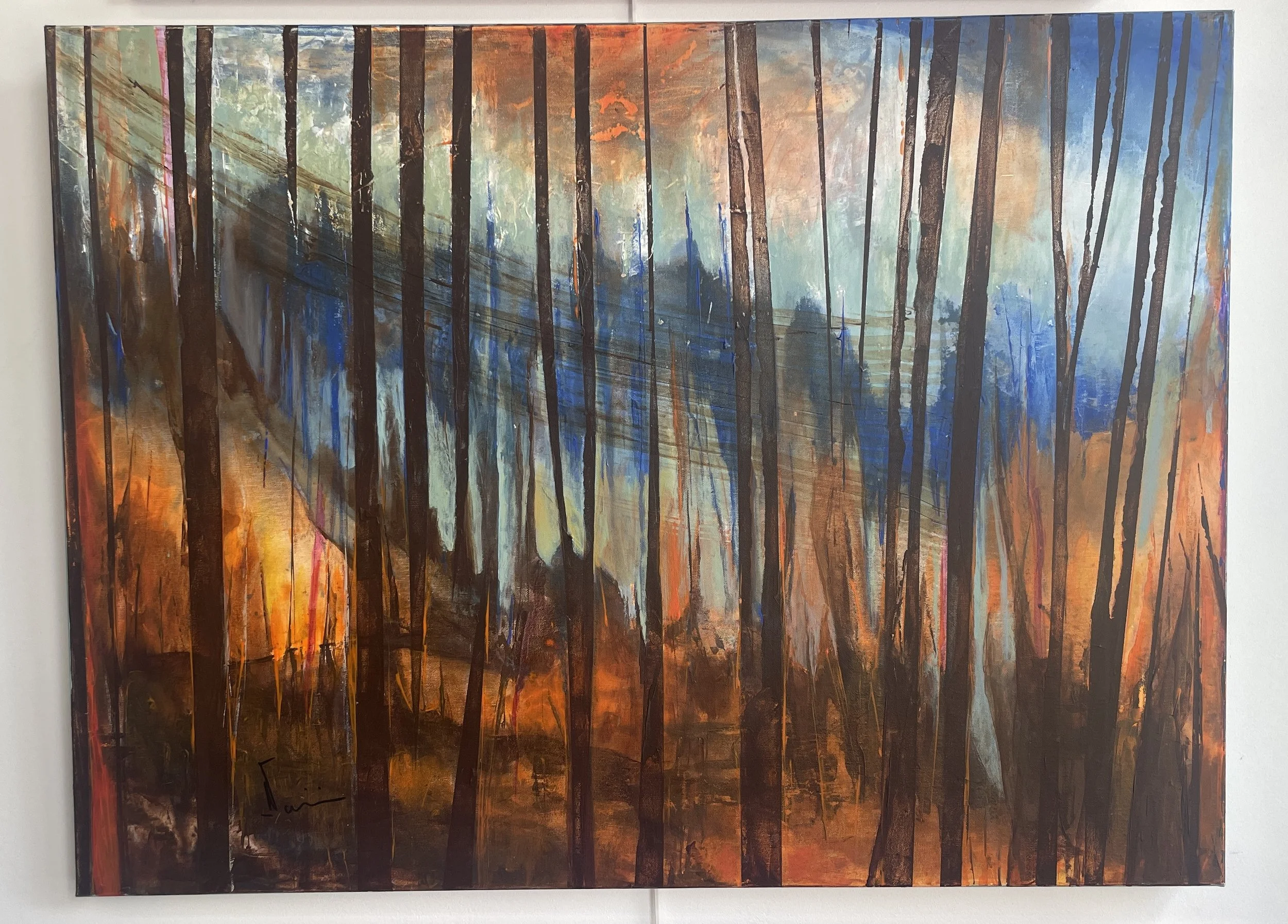 Forest Shadows