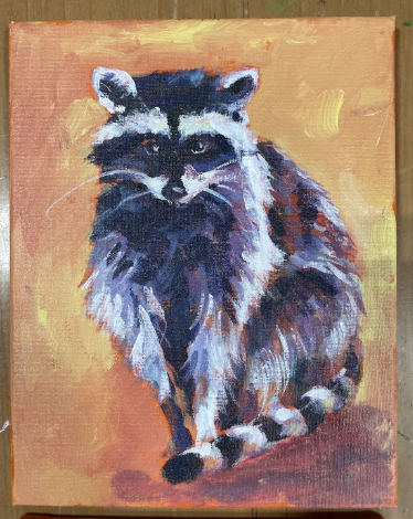 Raccoon