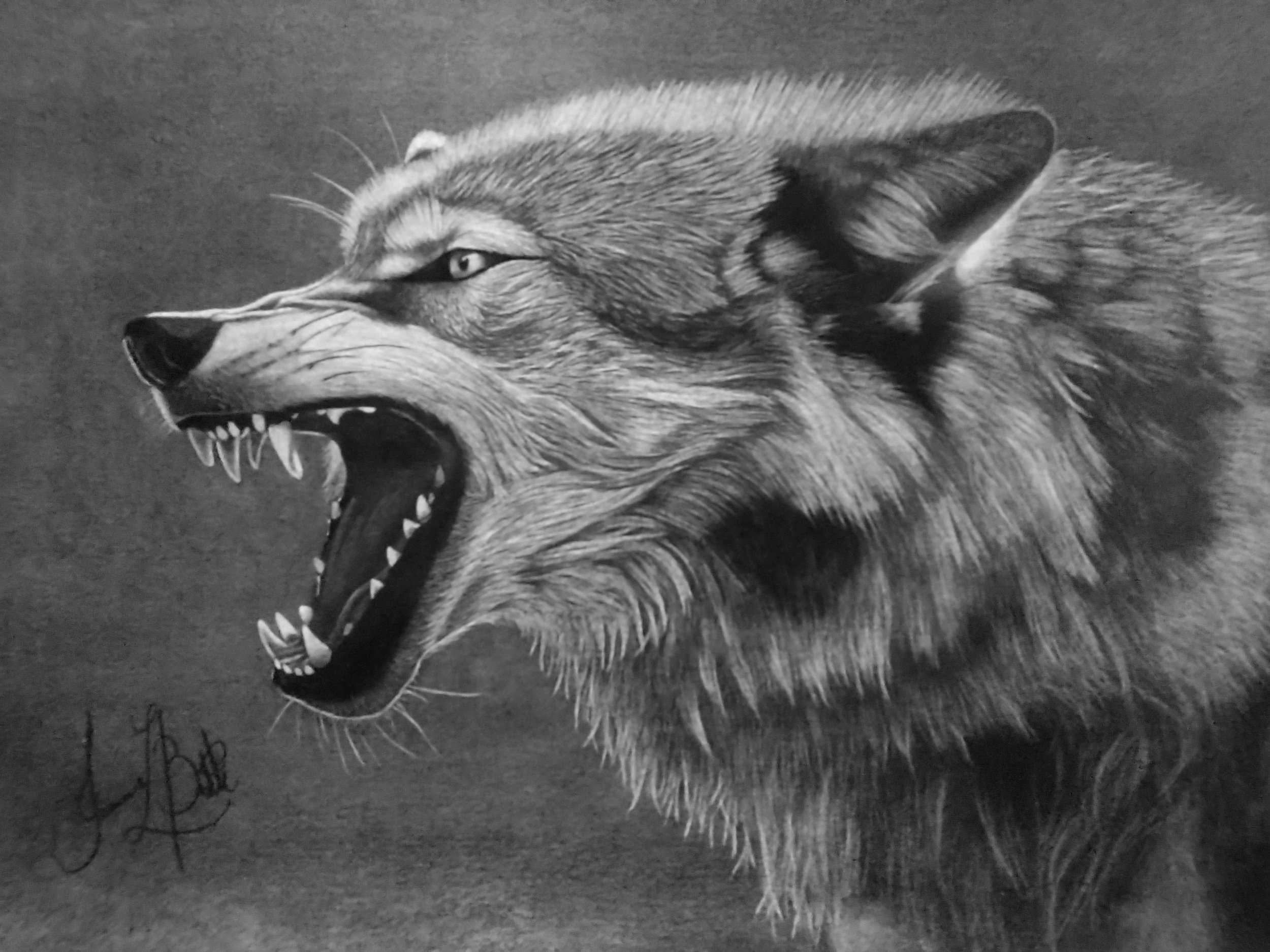 Cry Wolf