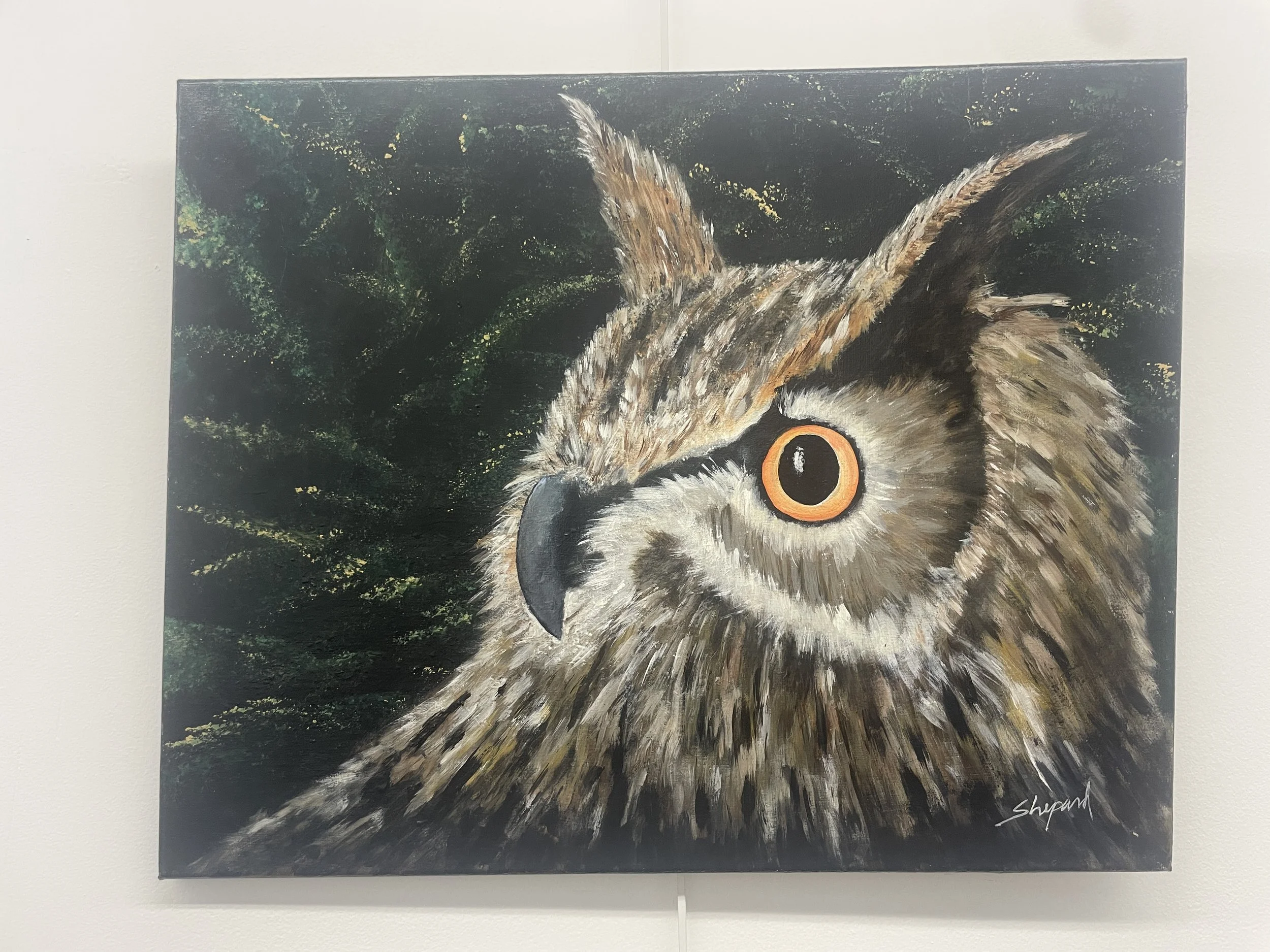 Great Horned Owl