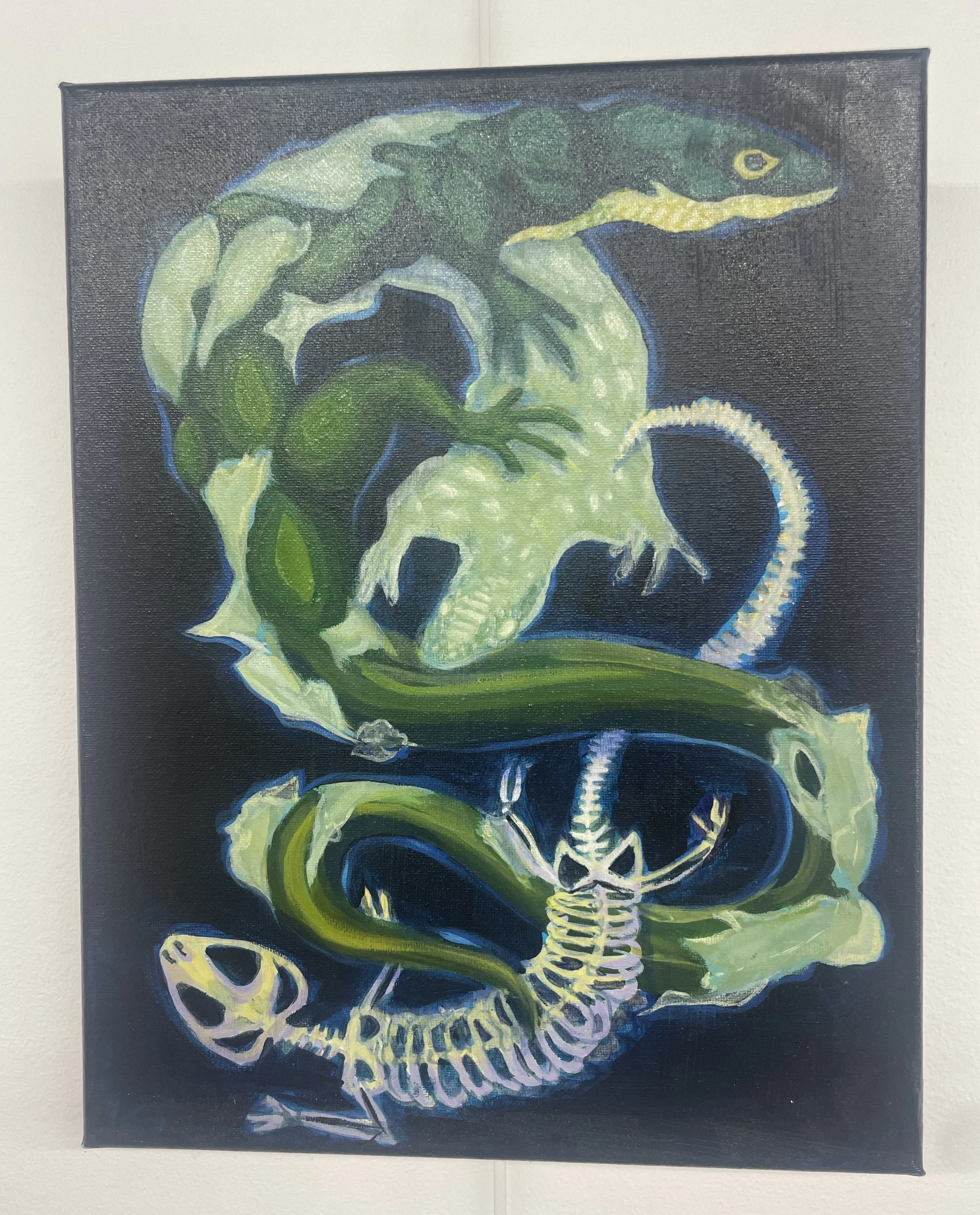 Lizard Trifecta