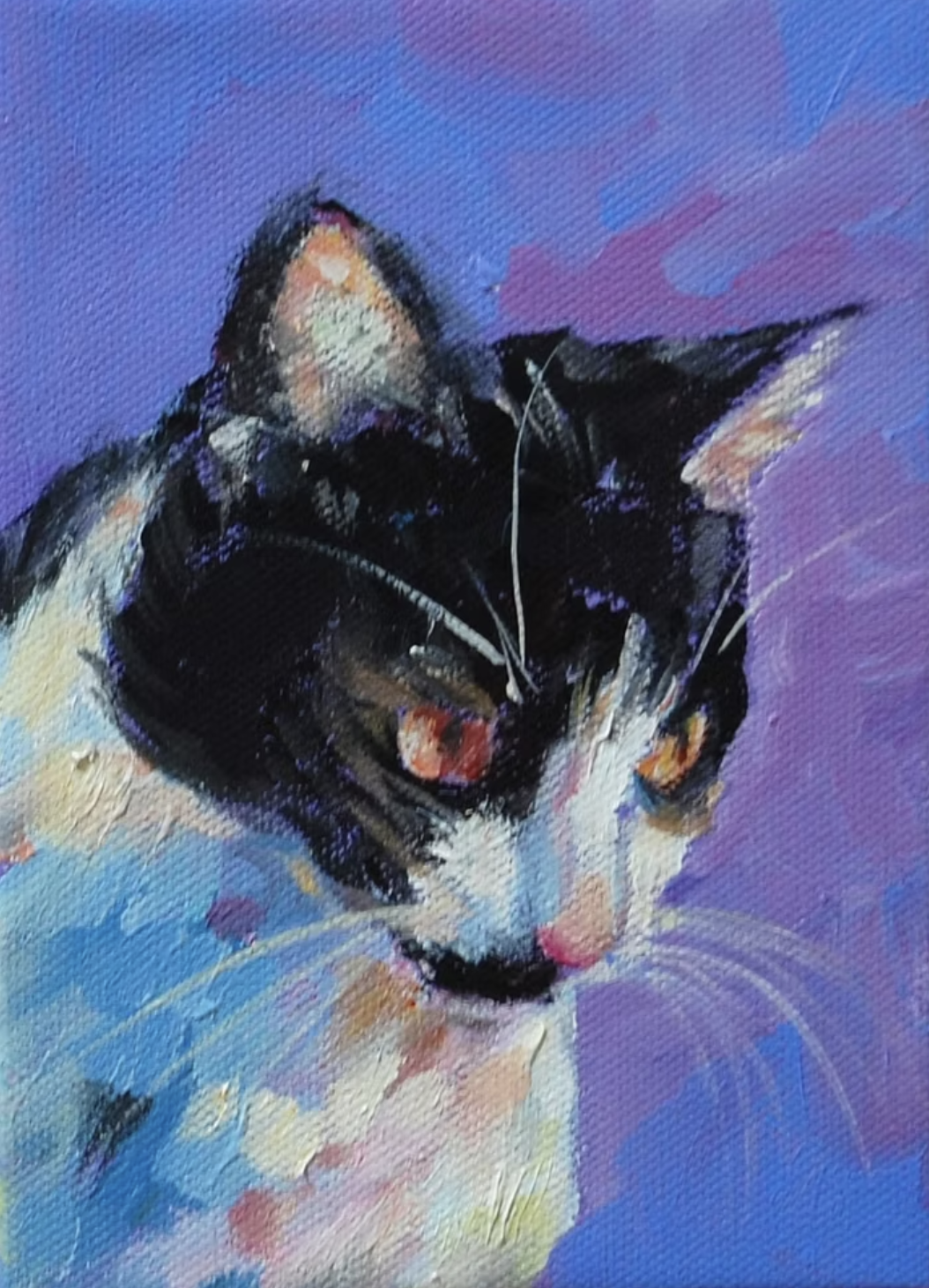 Watching Cat