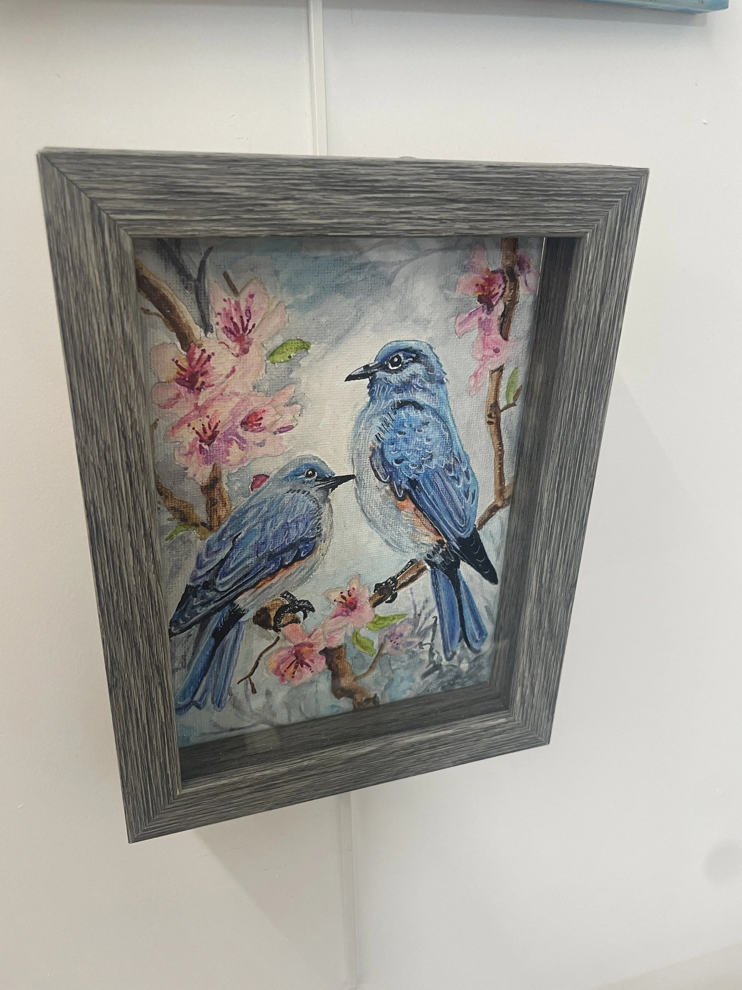 Bluebirds