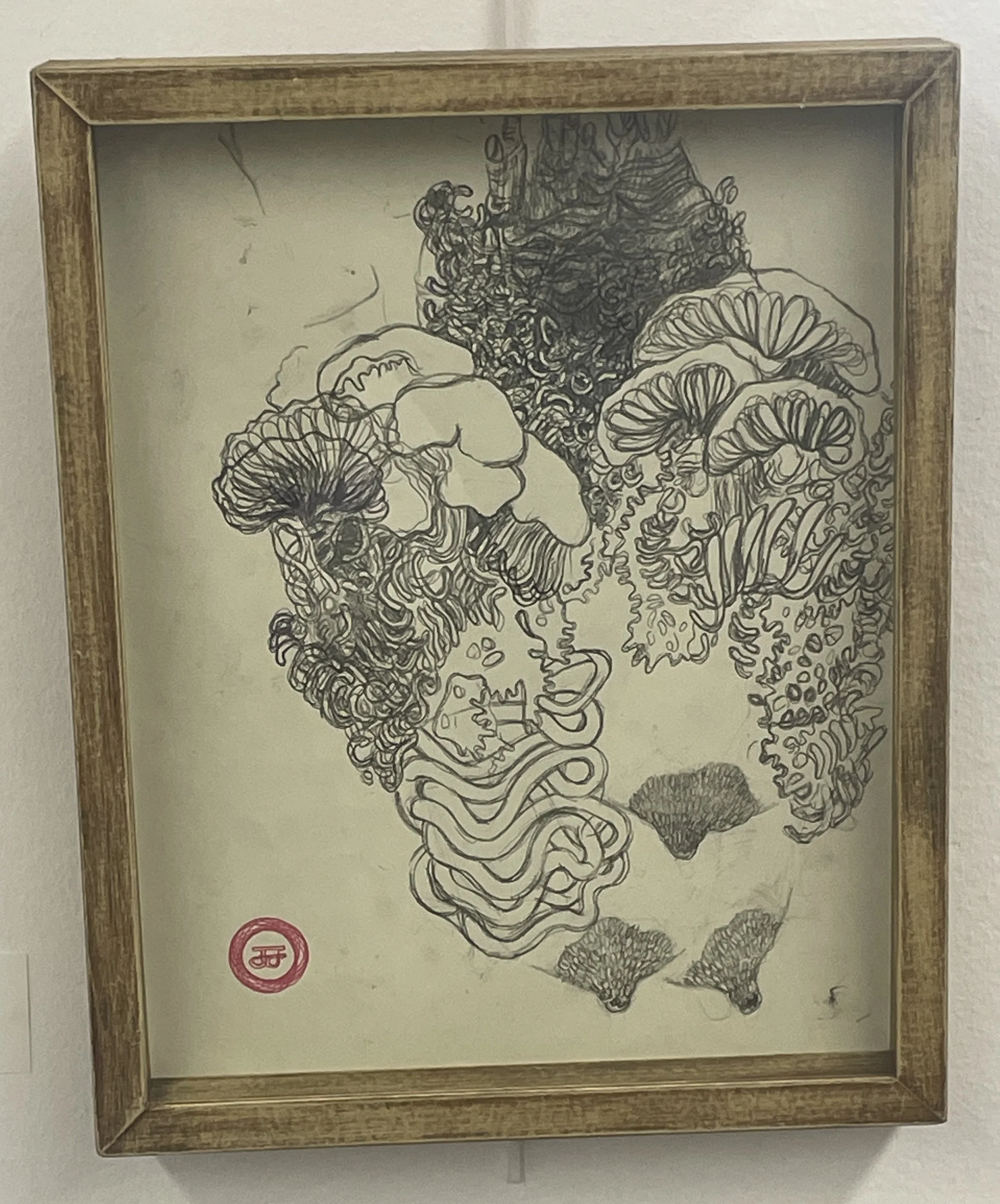 Anomalistophy: Study 3