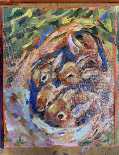 Nest