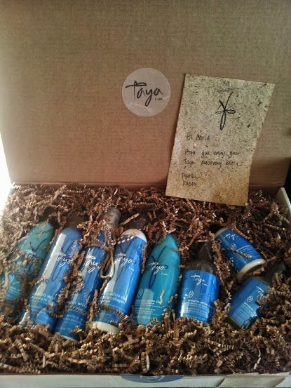 Taya Beauty Review Posh Beauty Blog