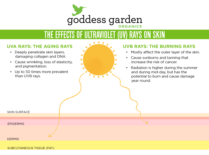 Goddess Garden Natural Sunscreen.jpg