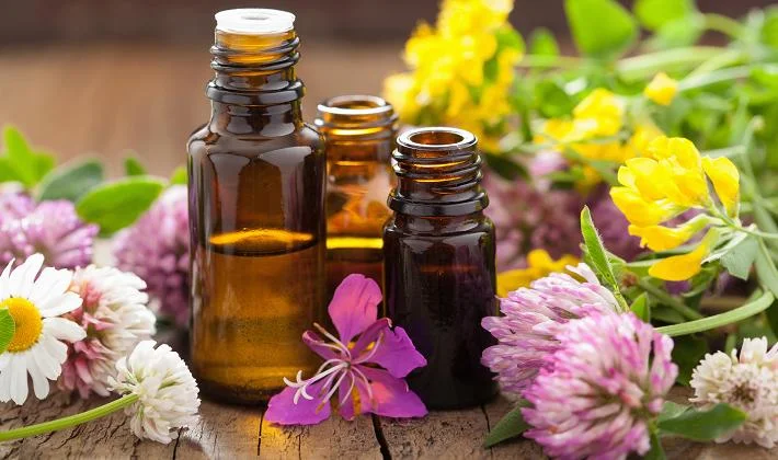 Aromatherapy Essentials.jpg
