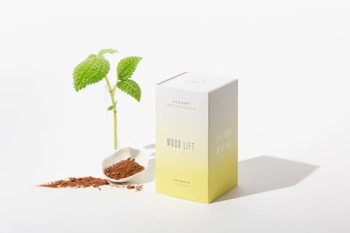 CBD shopping guide.jpg