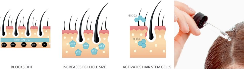 Actsyl Follicle image 2.jpg