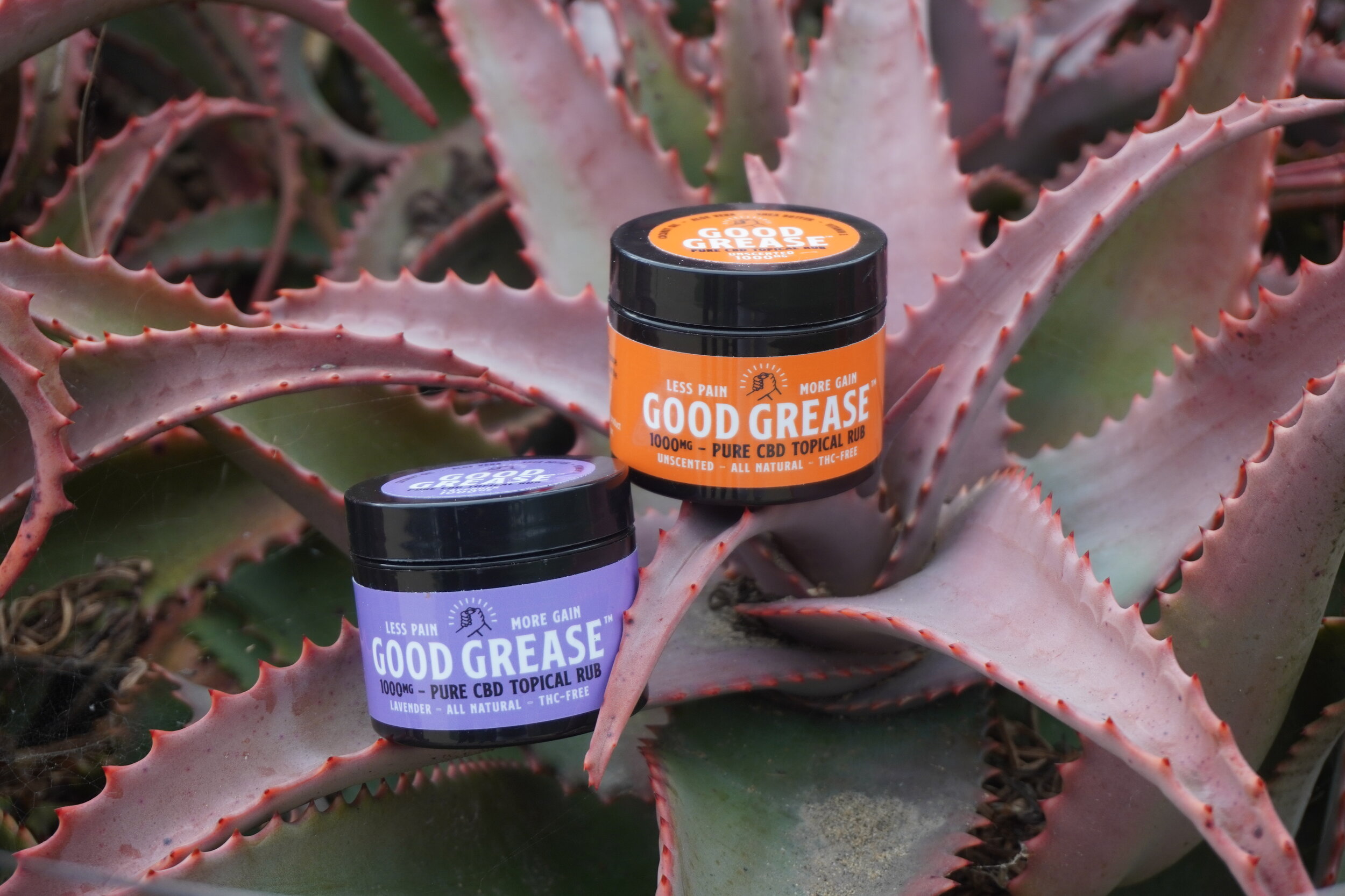 CBD Shopping Guide.jpg