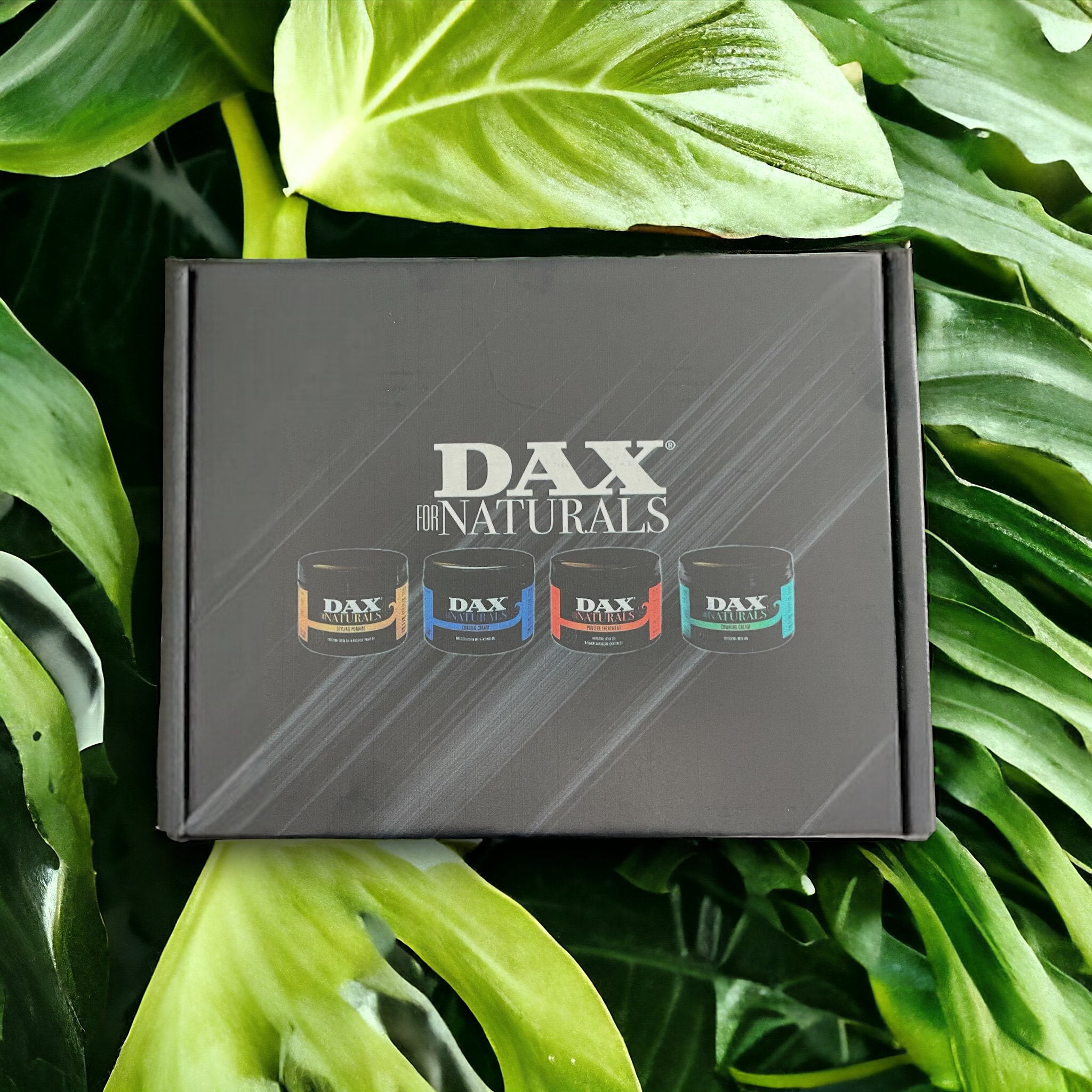 DAX DFN BOX.jpg