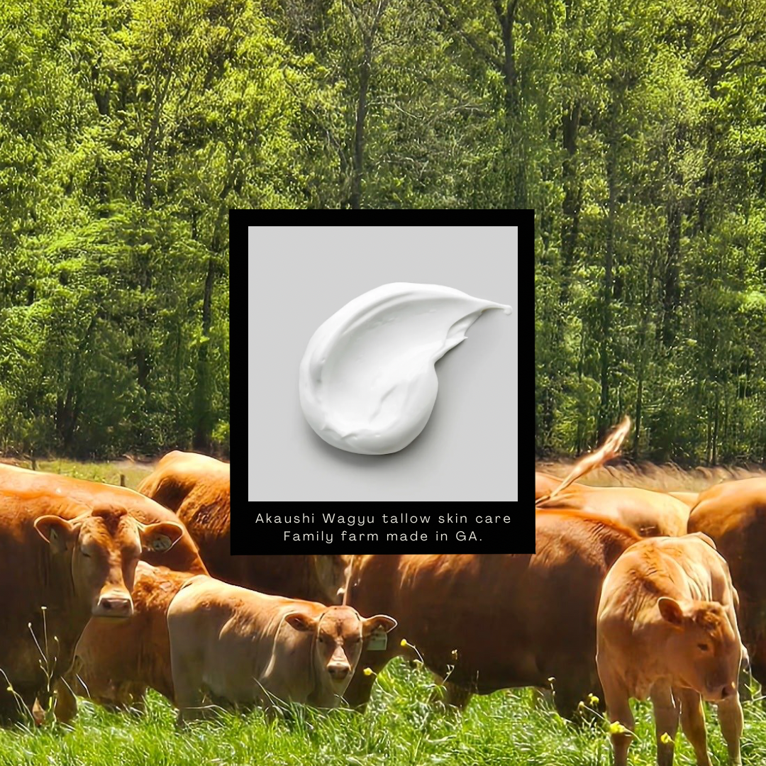 image0 (1).png