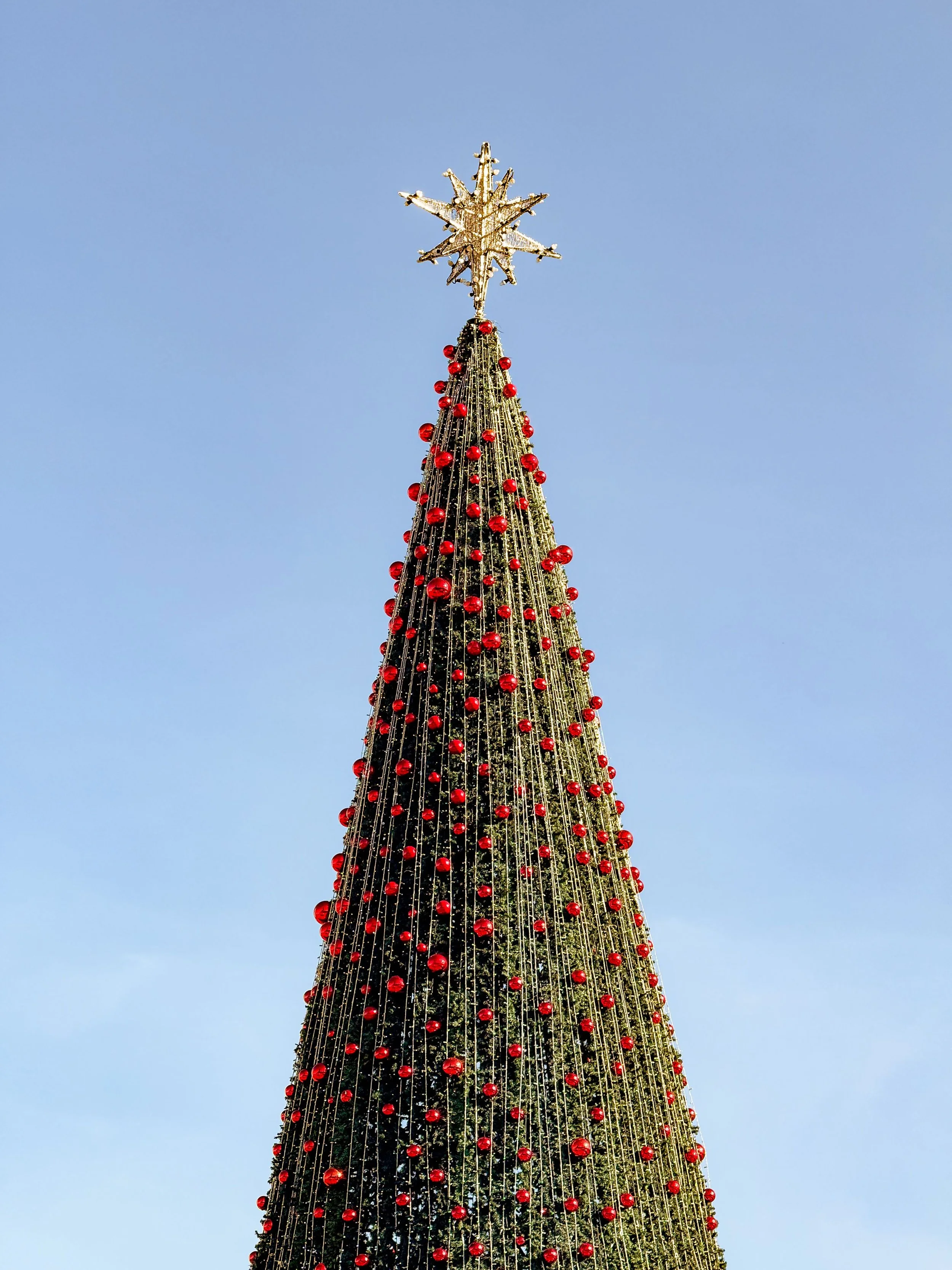 Christmas in July: A Mid-Summer Gifting &amp; Wellness Shopping Guide