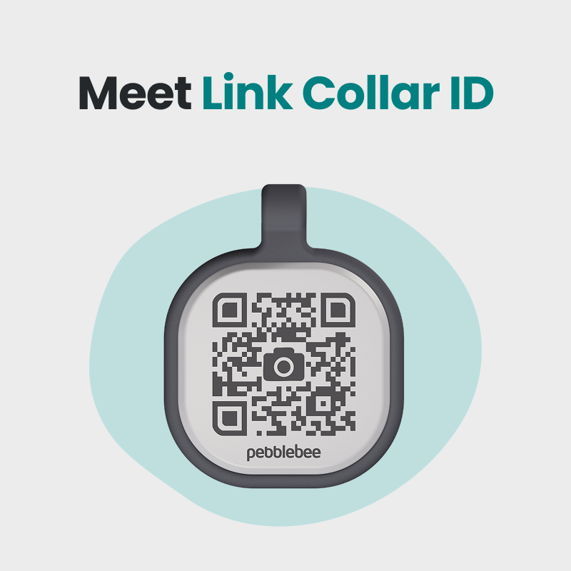 image (68).png