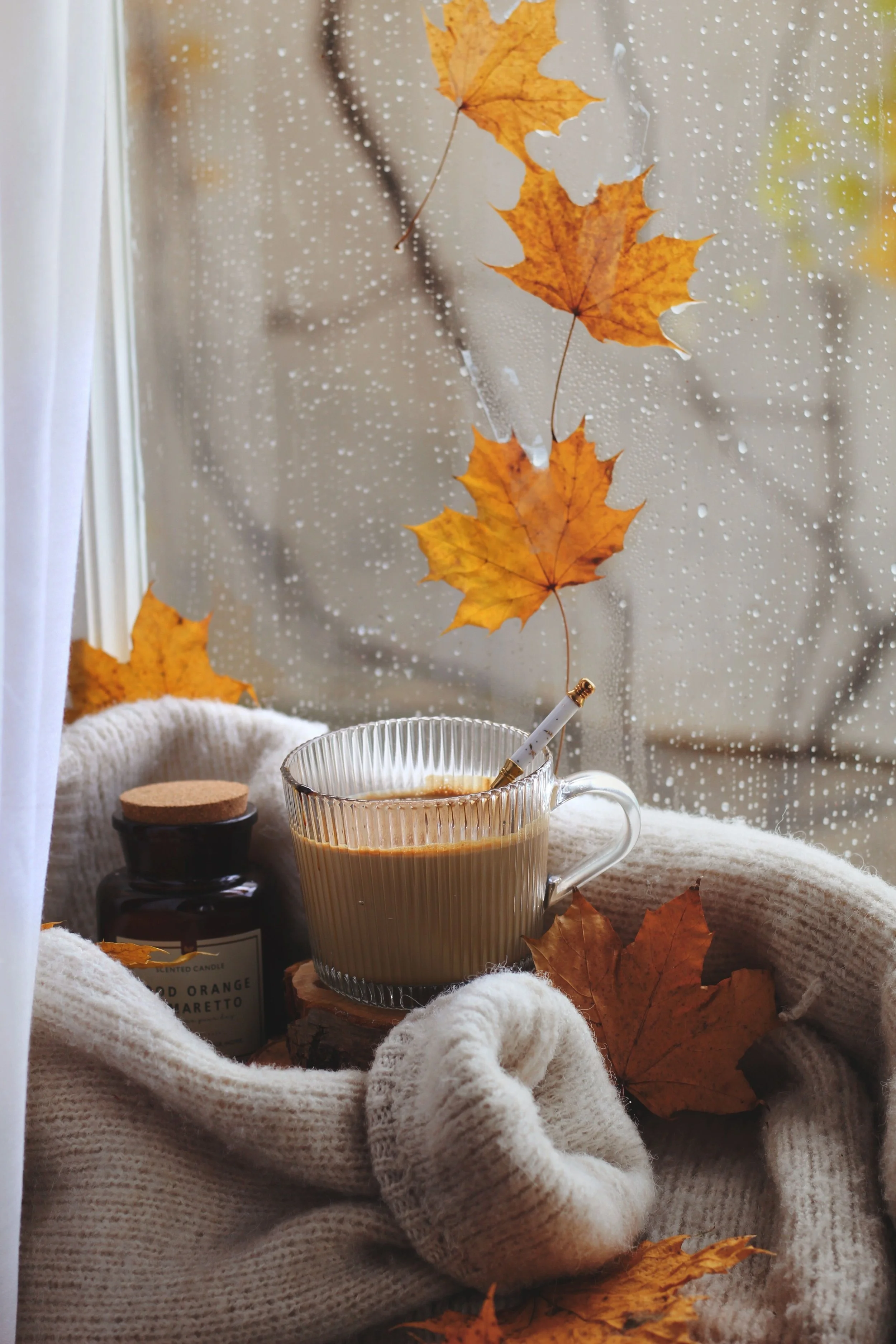 The Autumn Edit: 9 Luxe Fall Drops to Elevate Your Routine