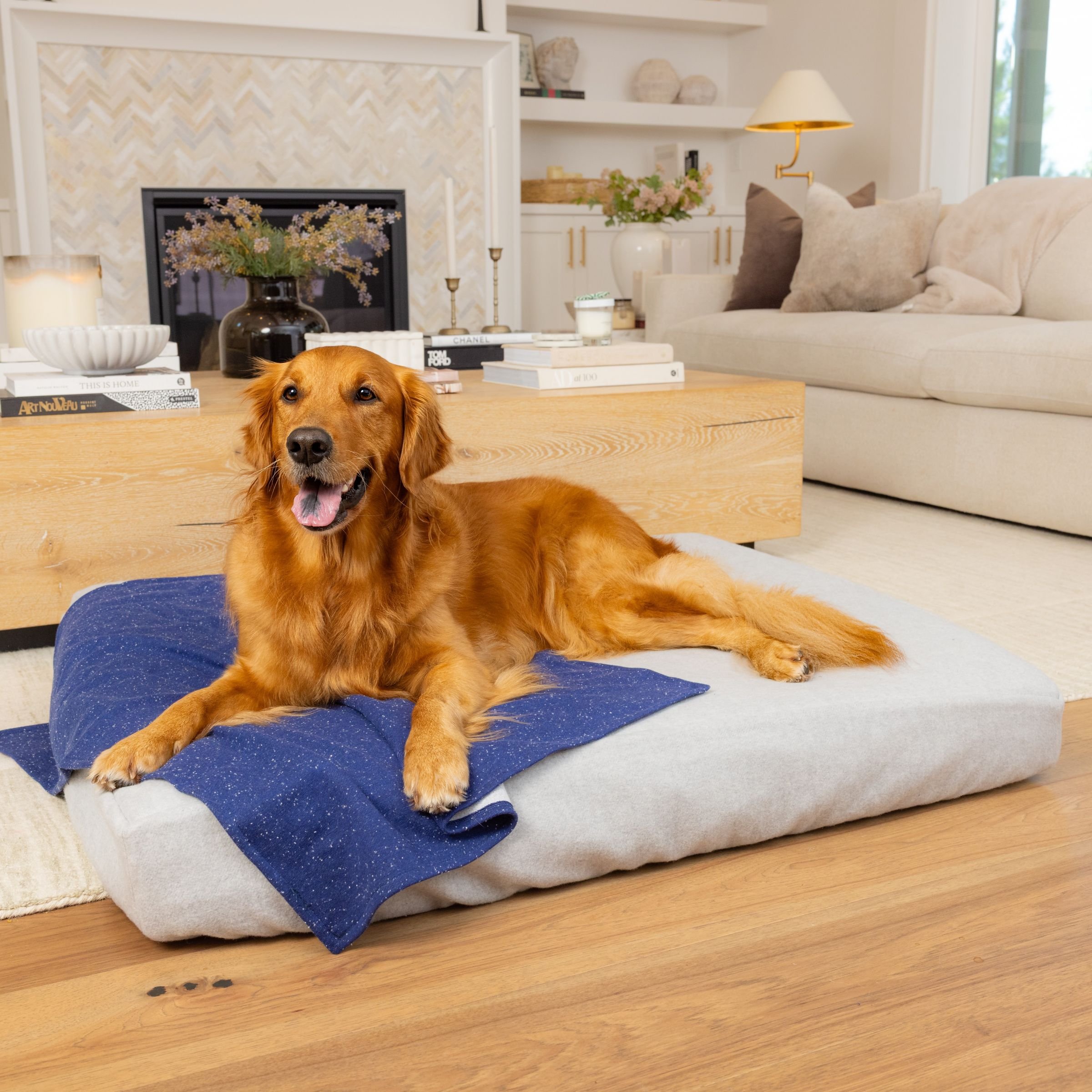 Blue-Toby-9142 square 2400 .jpg