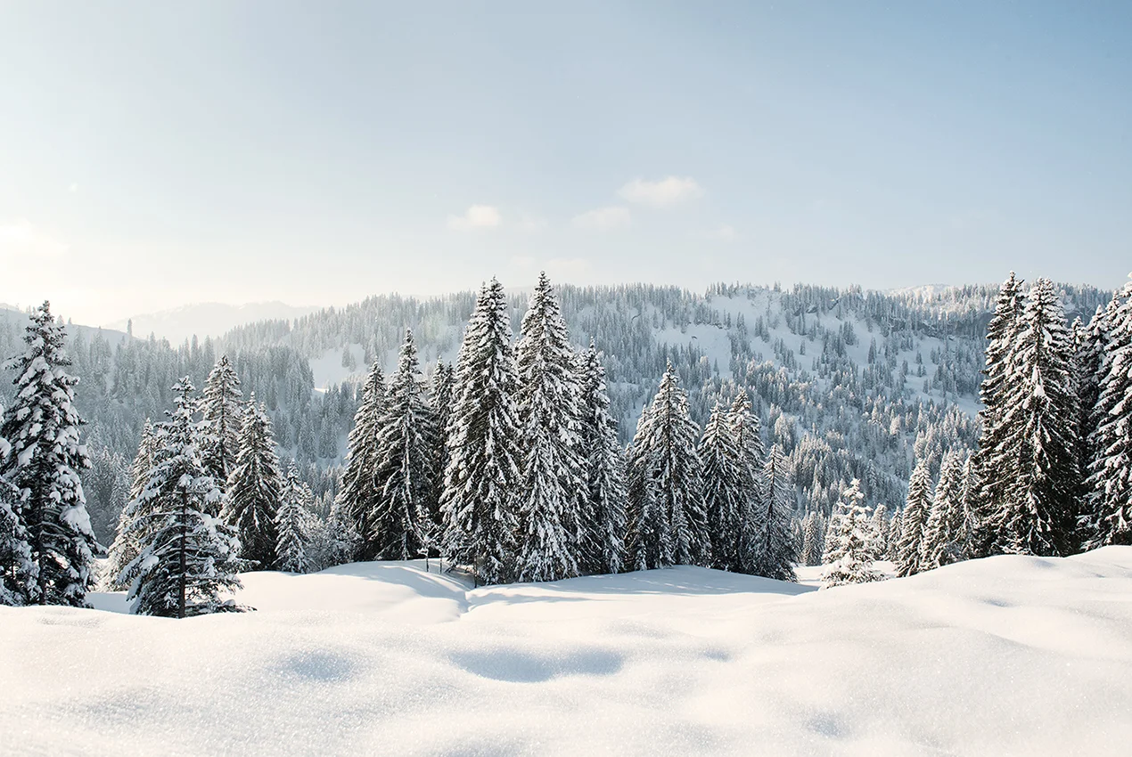 balderschwang.jpg