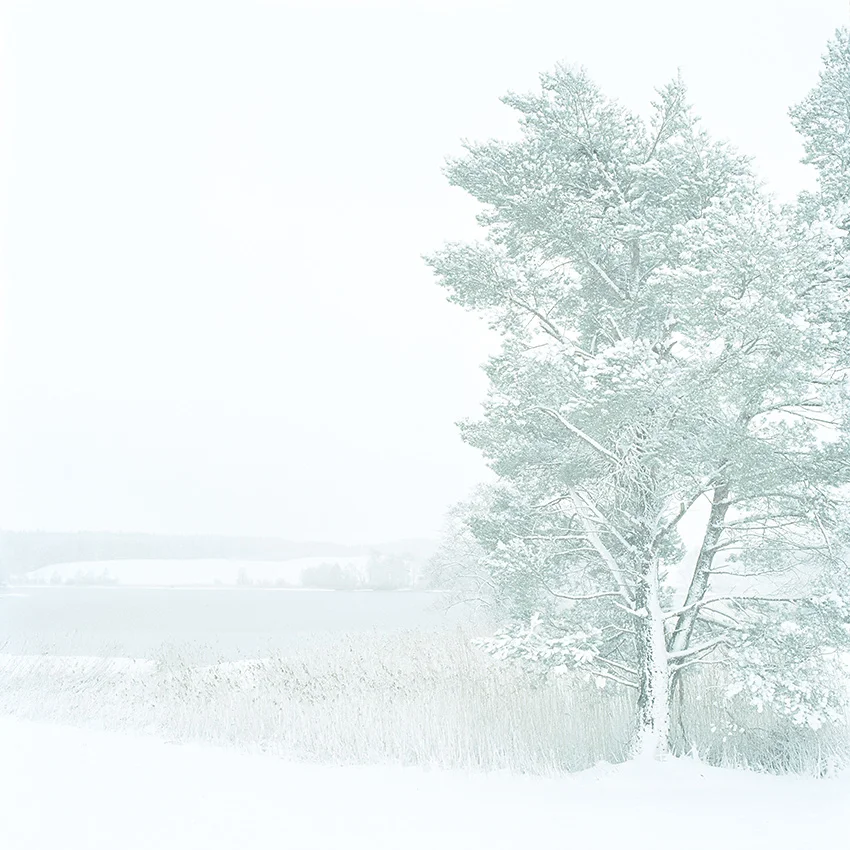 schnee001.jpg