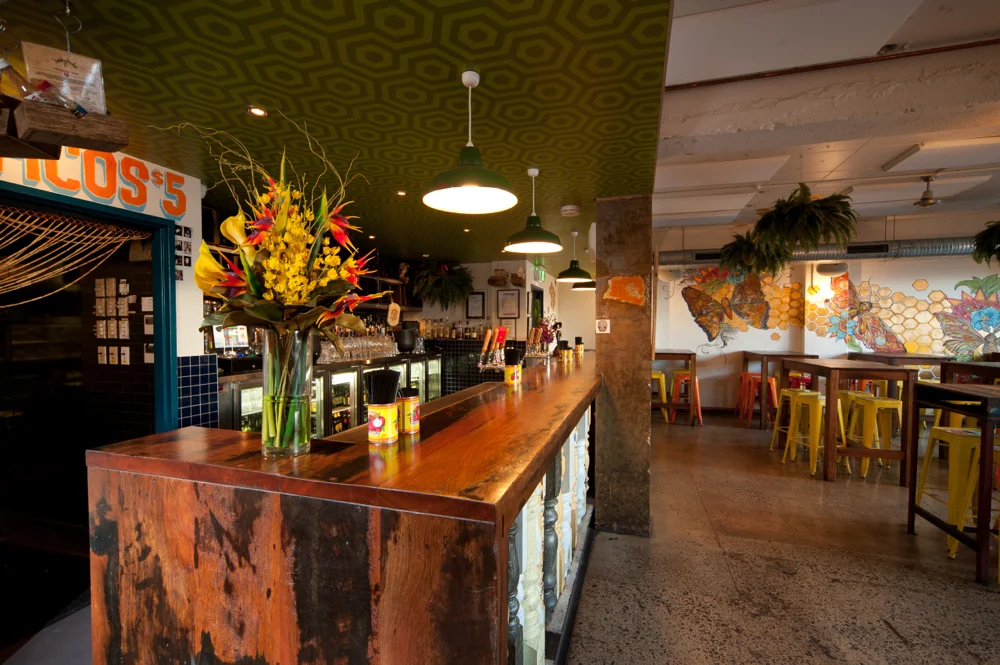 Brushbox Bench Top - Honkytonks Bar