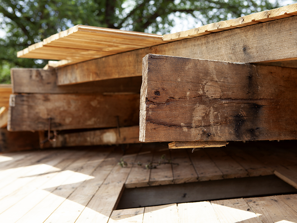 Roof Timbers